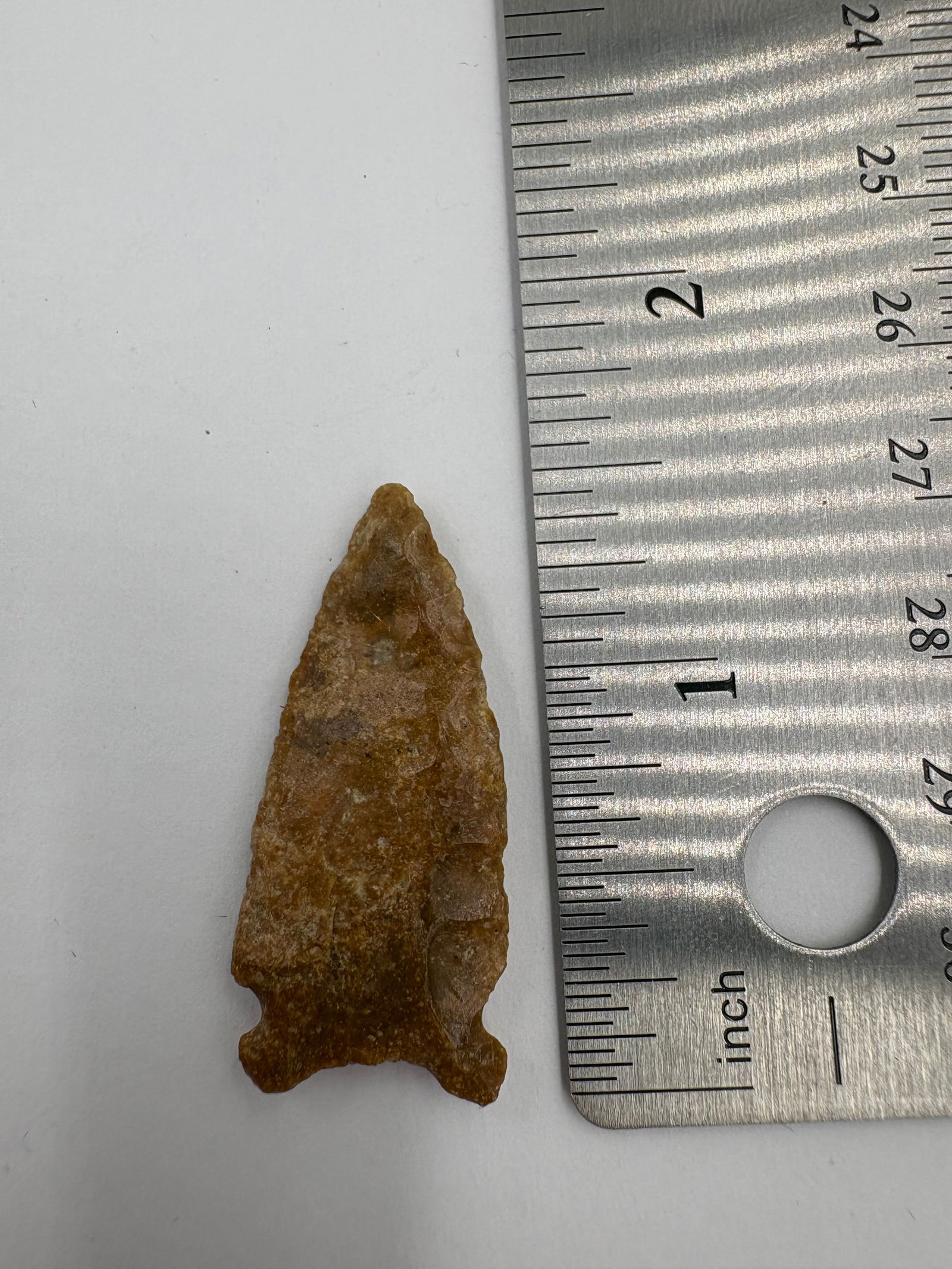 Avonlea Charmichael, Motley COA - 3