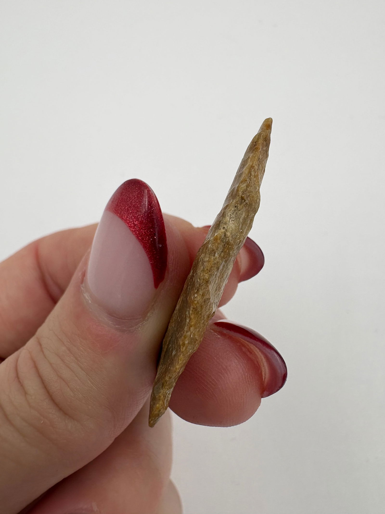 Avonlea Charmichael, Motley COA - 4