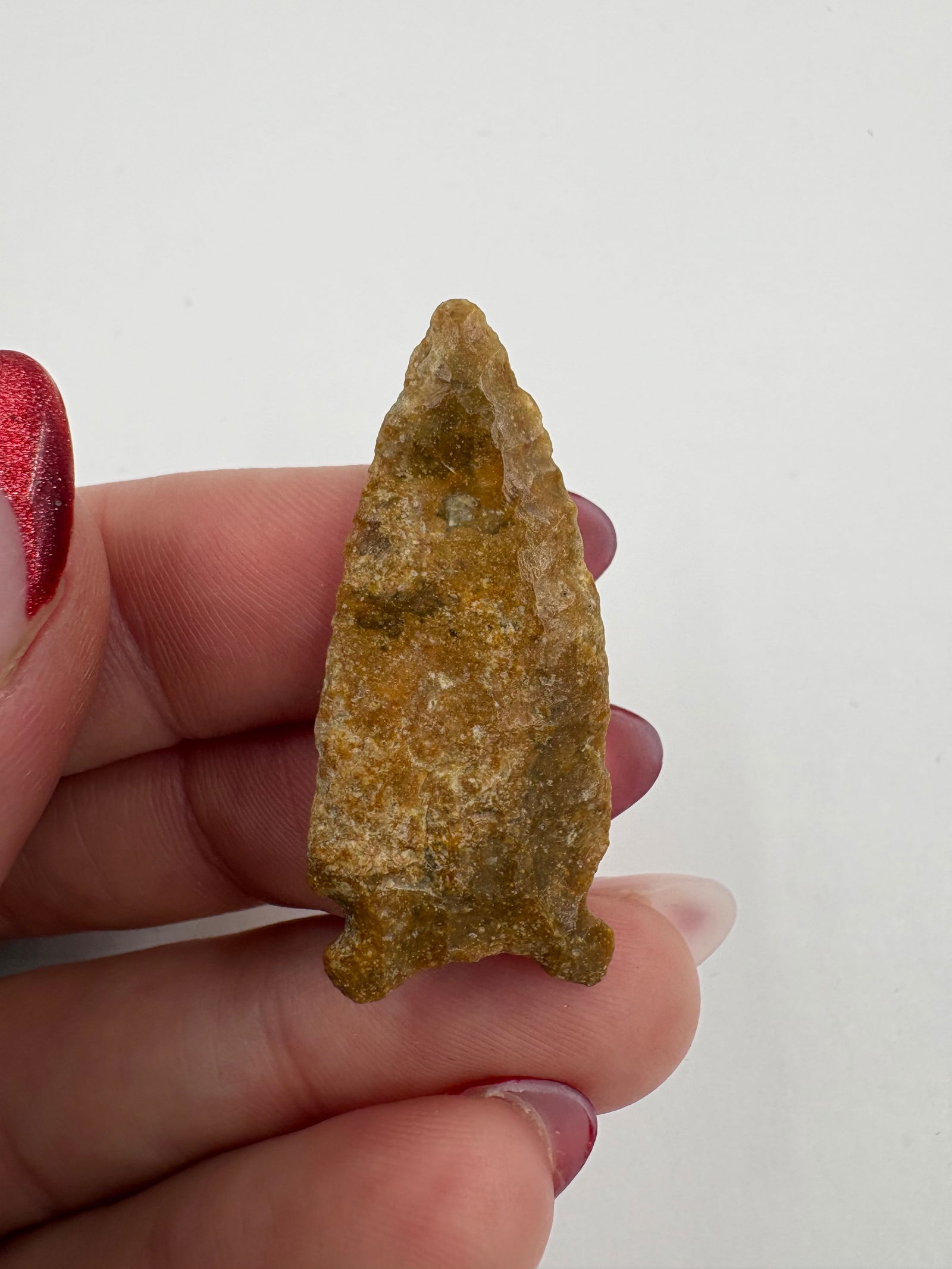 Avonlea Charmichael, Motley COA - 5