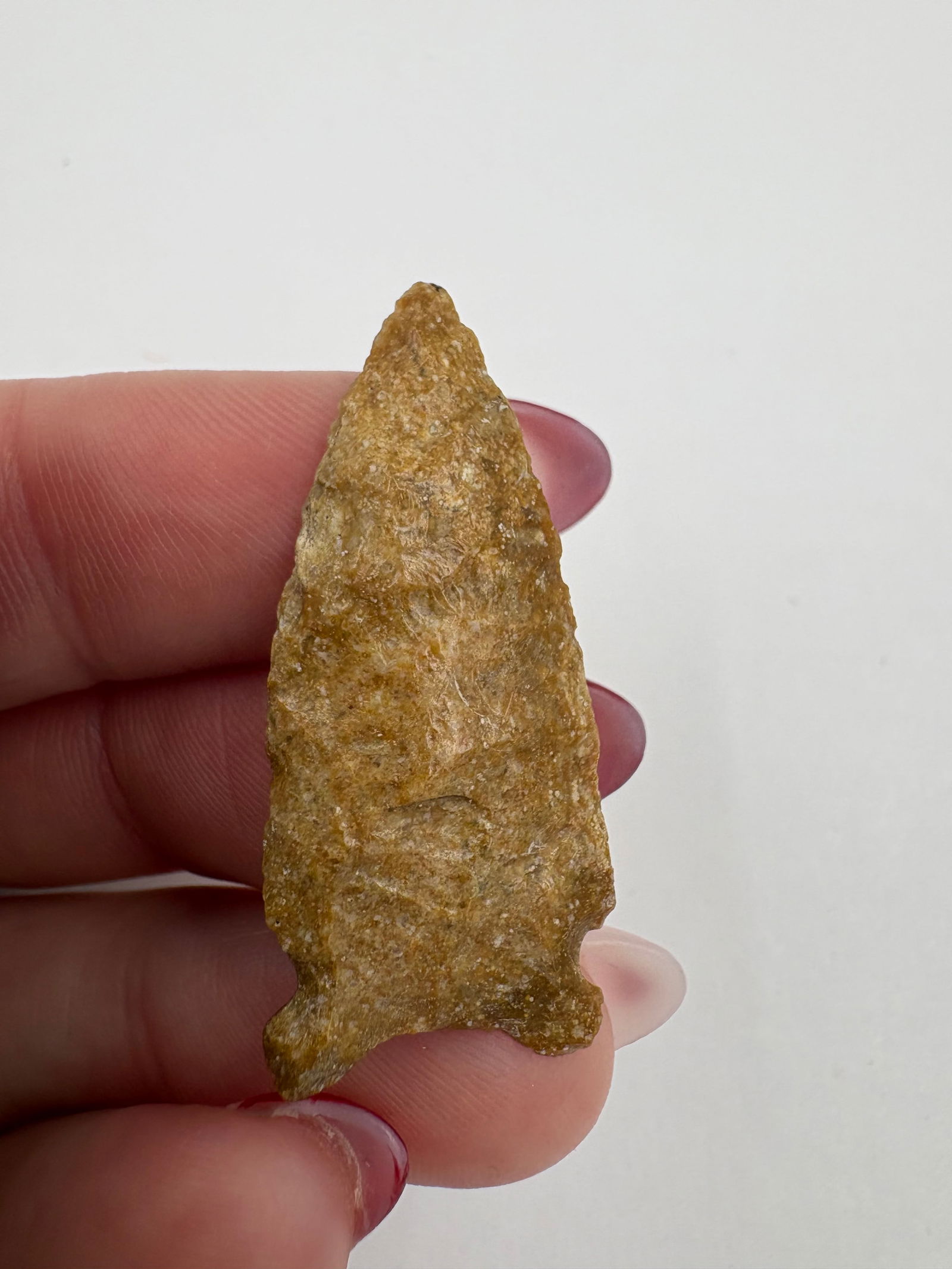 Avonlea Charmichael, Motley COA - 6