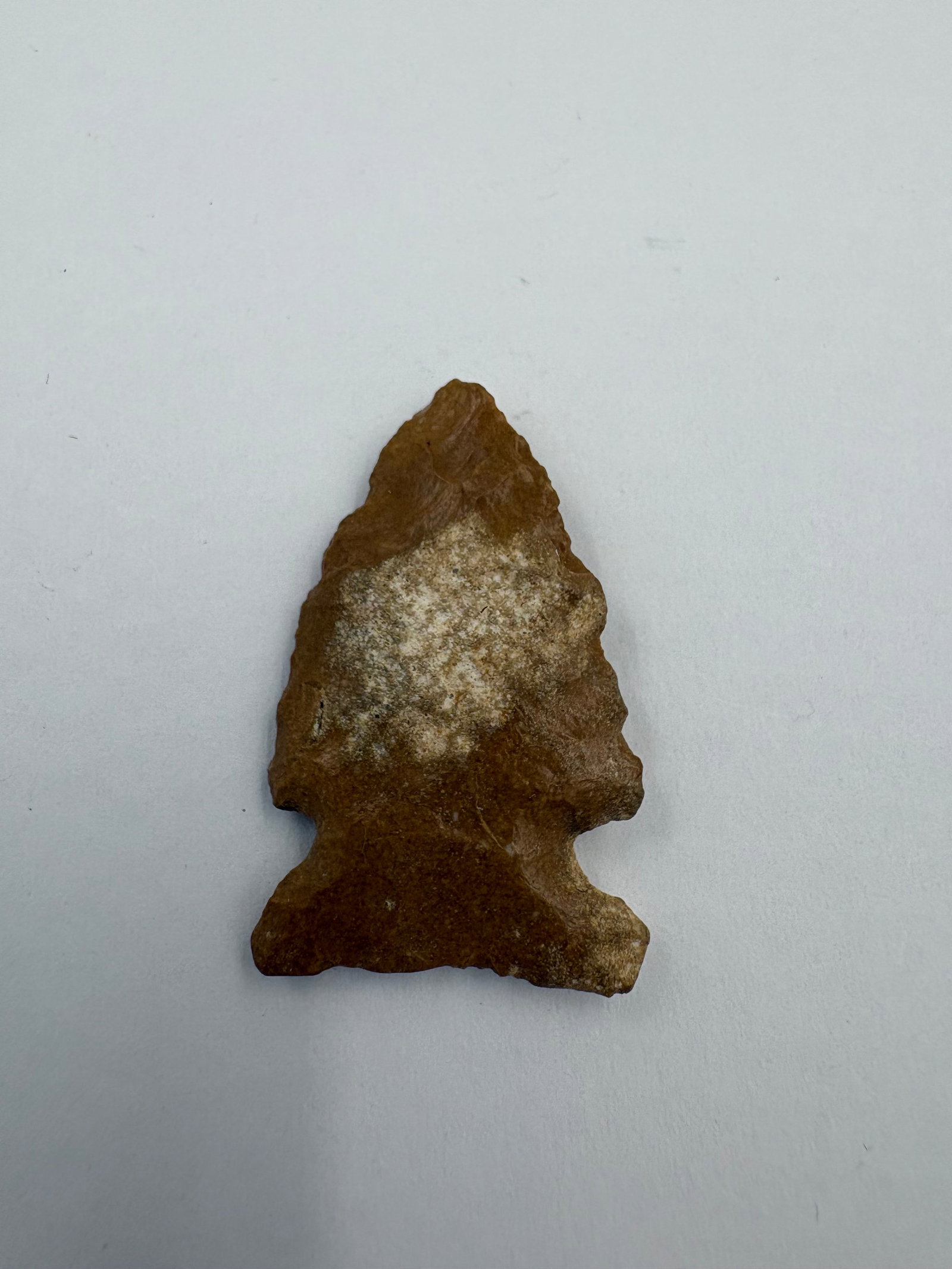 Besant Point, Motley COA (1 of 7)