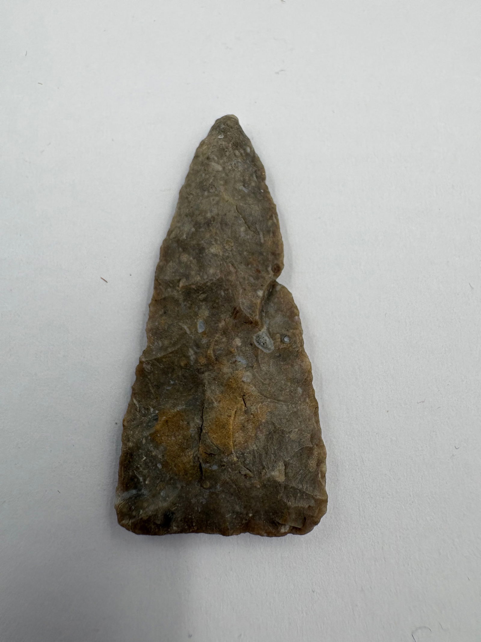 Plains Triangular Point, Motley COA - 2