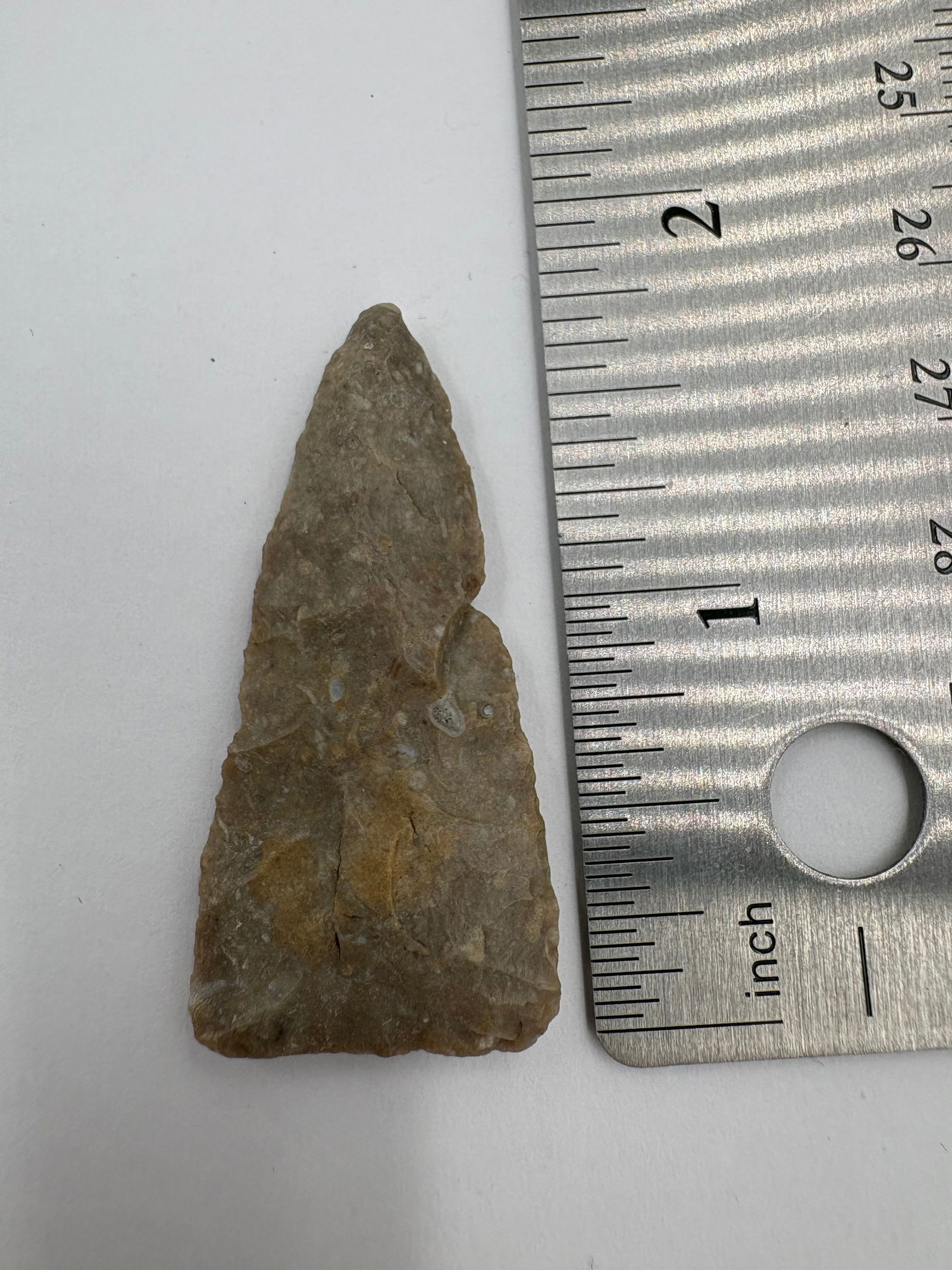 Plains Triangular Point, Motley COA - 3