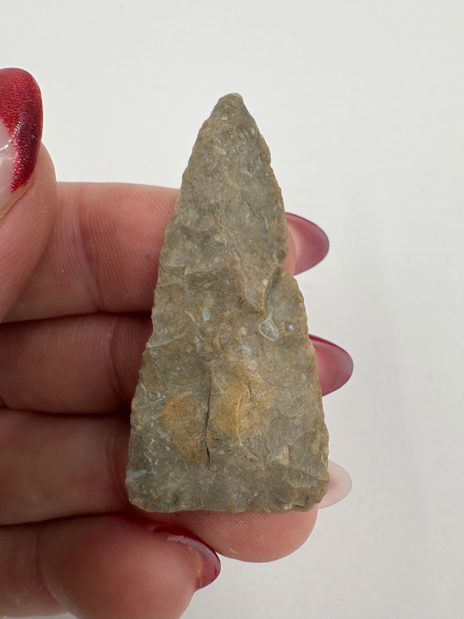 Plains Triangular Point, Motley COA - 5