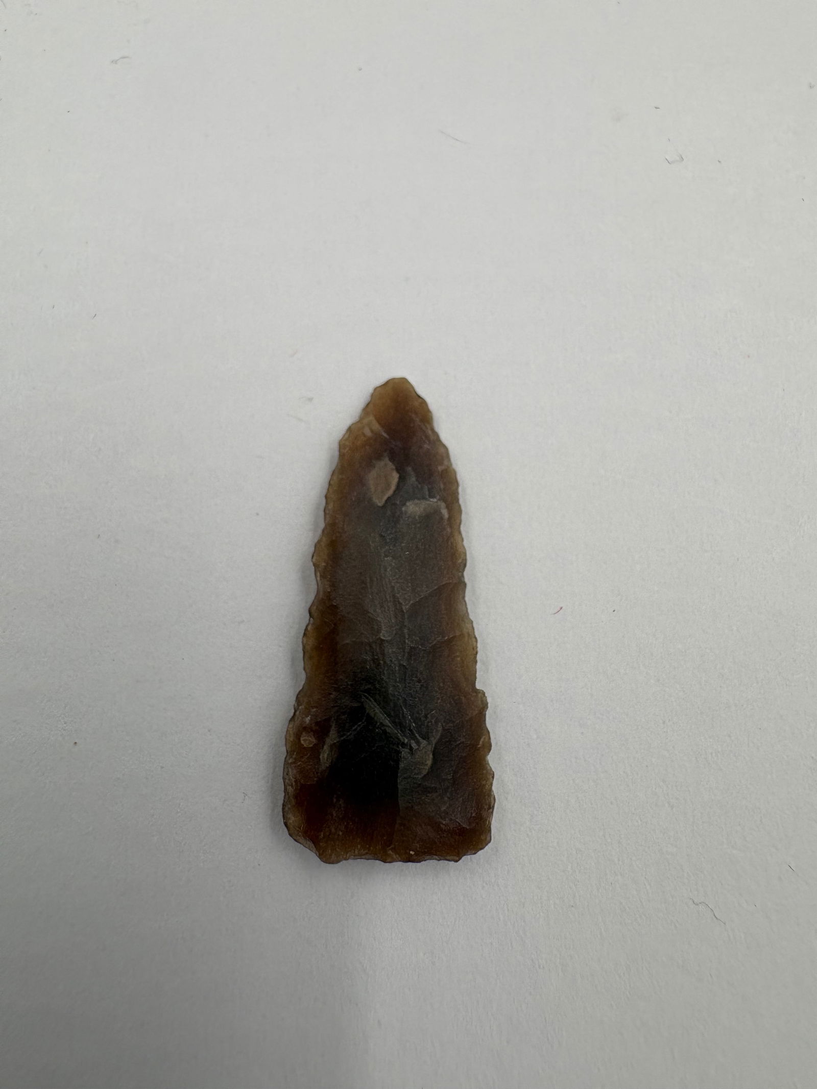 Plains Triangular Point, Motley COA - 2