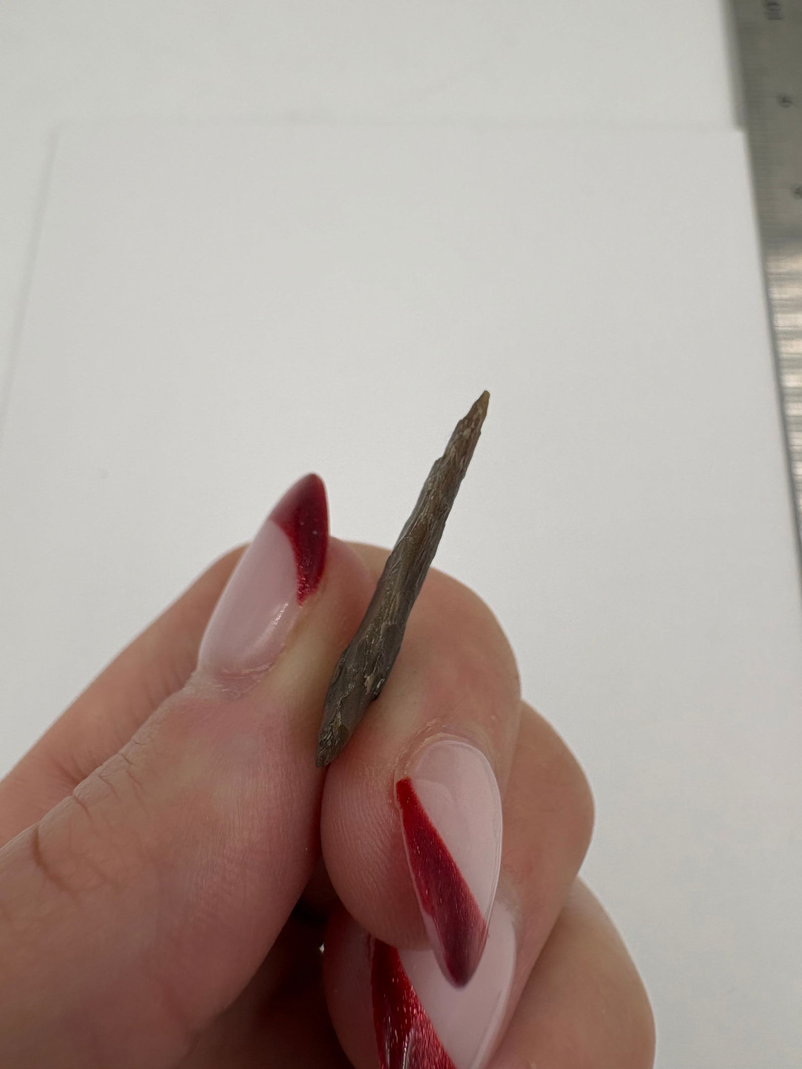 Plains Triangular Point, Motley COA - 4