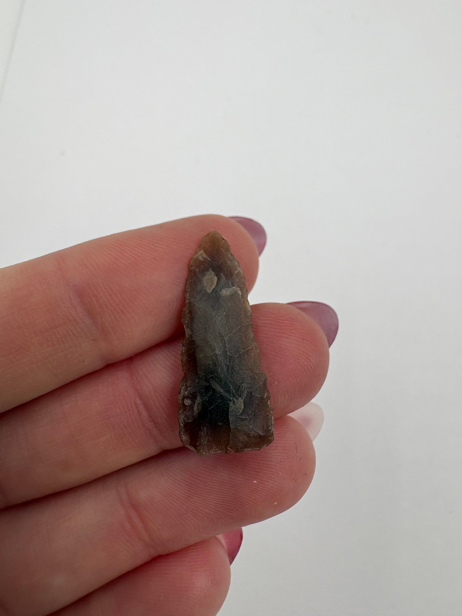 Plains Triangular Point, Motley COA - 5