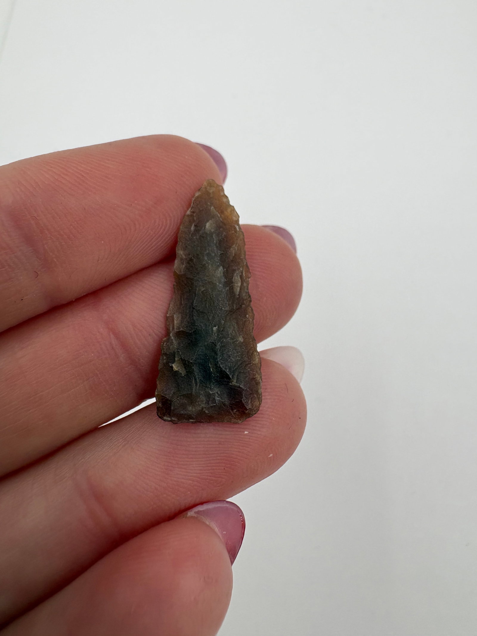 Plains Triangular Point, Motley COA - 6