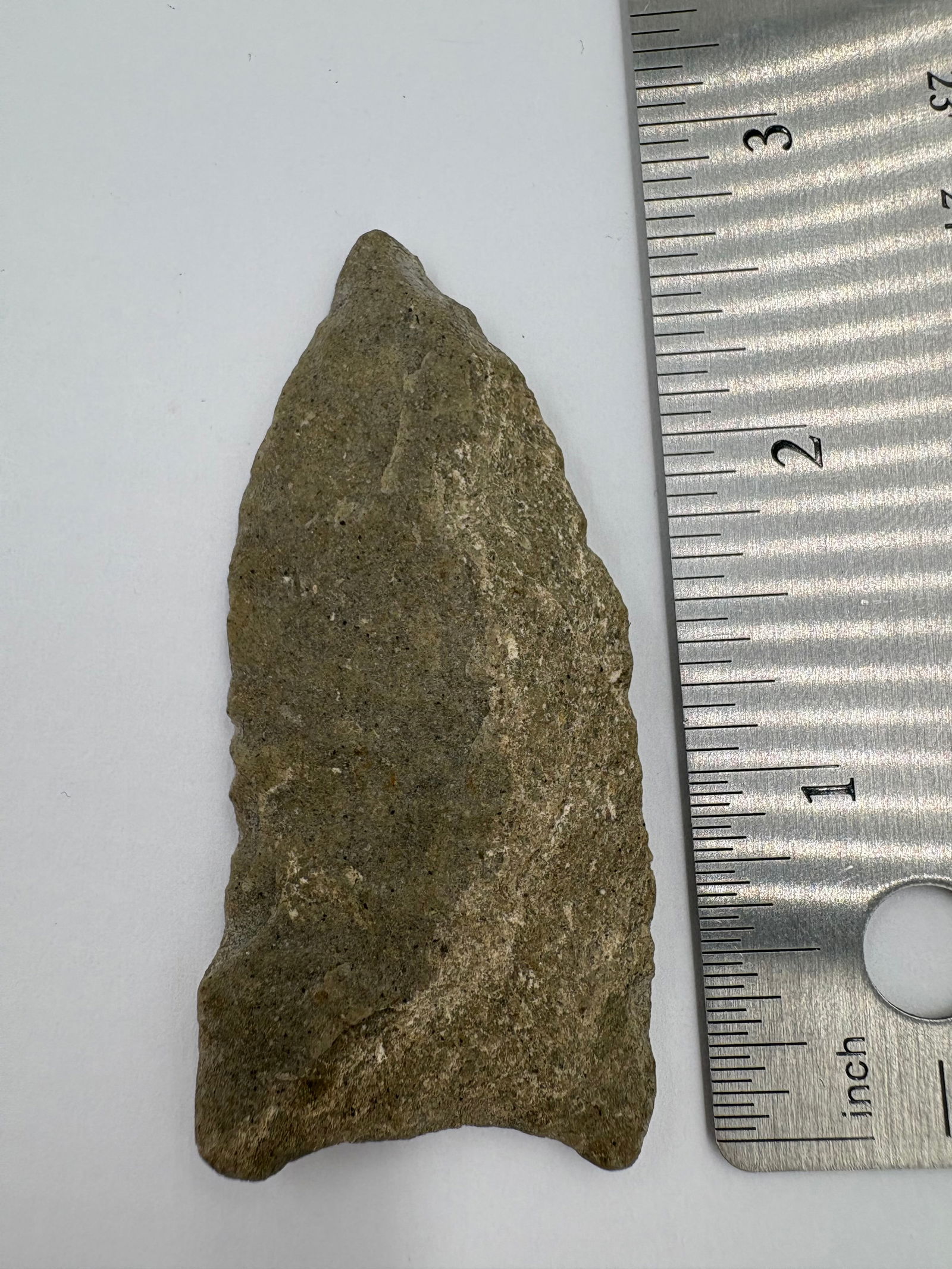 Miserve Point, Motley COA - 3