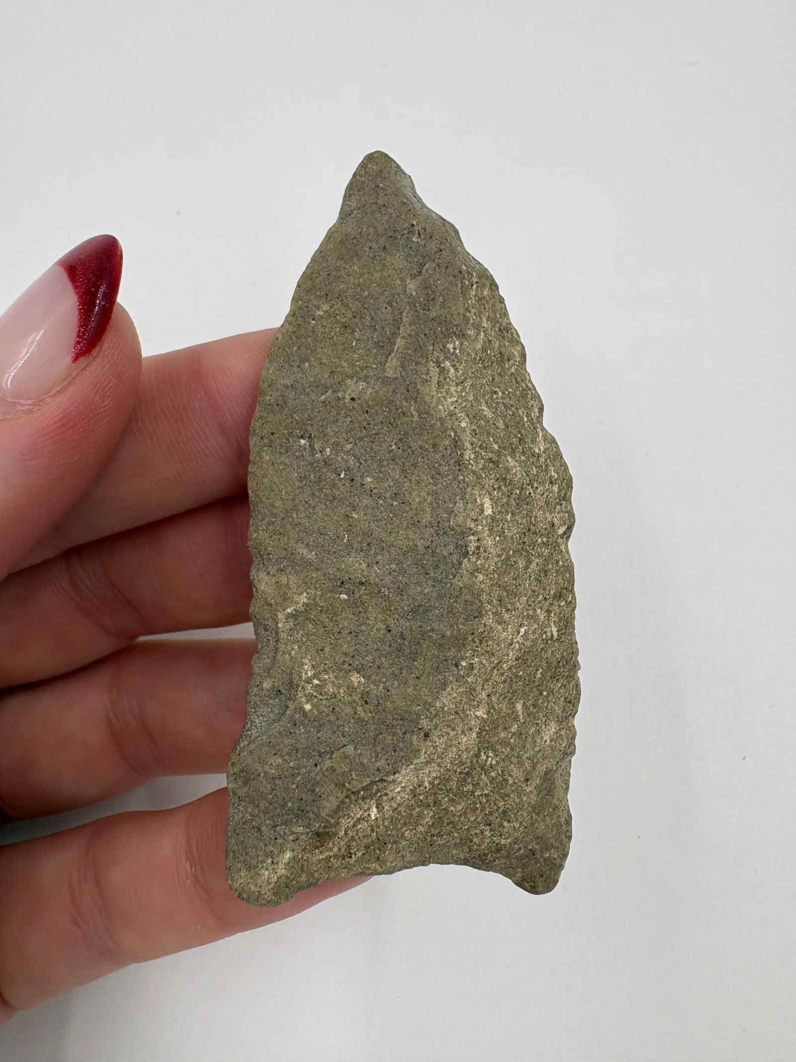 Miserve Point, Motley COA - 5