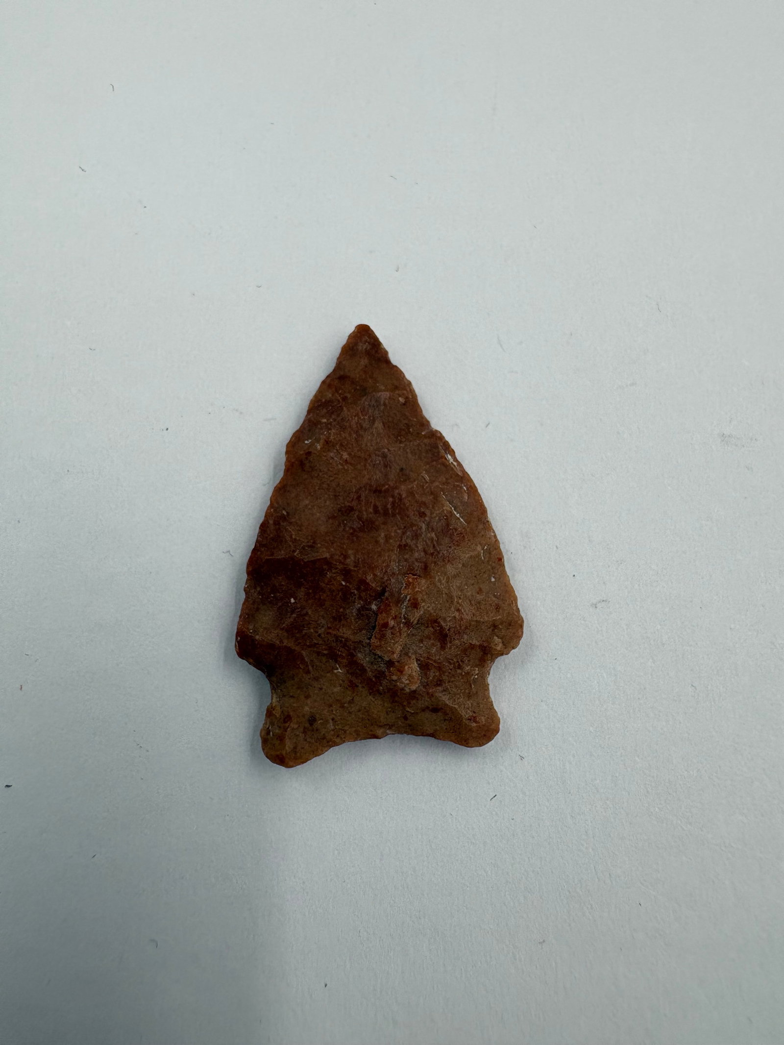 San Patrice Point, Motley COA: Triangular flaked point fashioned from petrified wood with reddish-brown tones and a narrow, tapered tip. Basal notches create small ears at the base and both faces display percussion and pressure