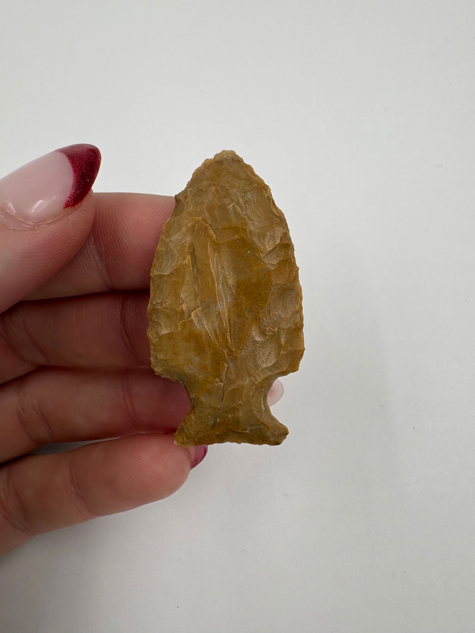 Table Rock Point, Motley COA - 5