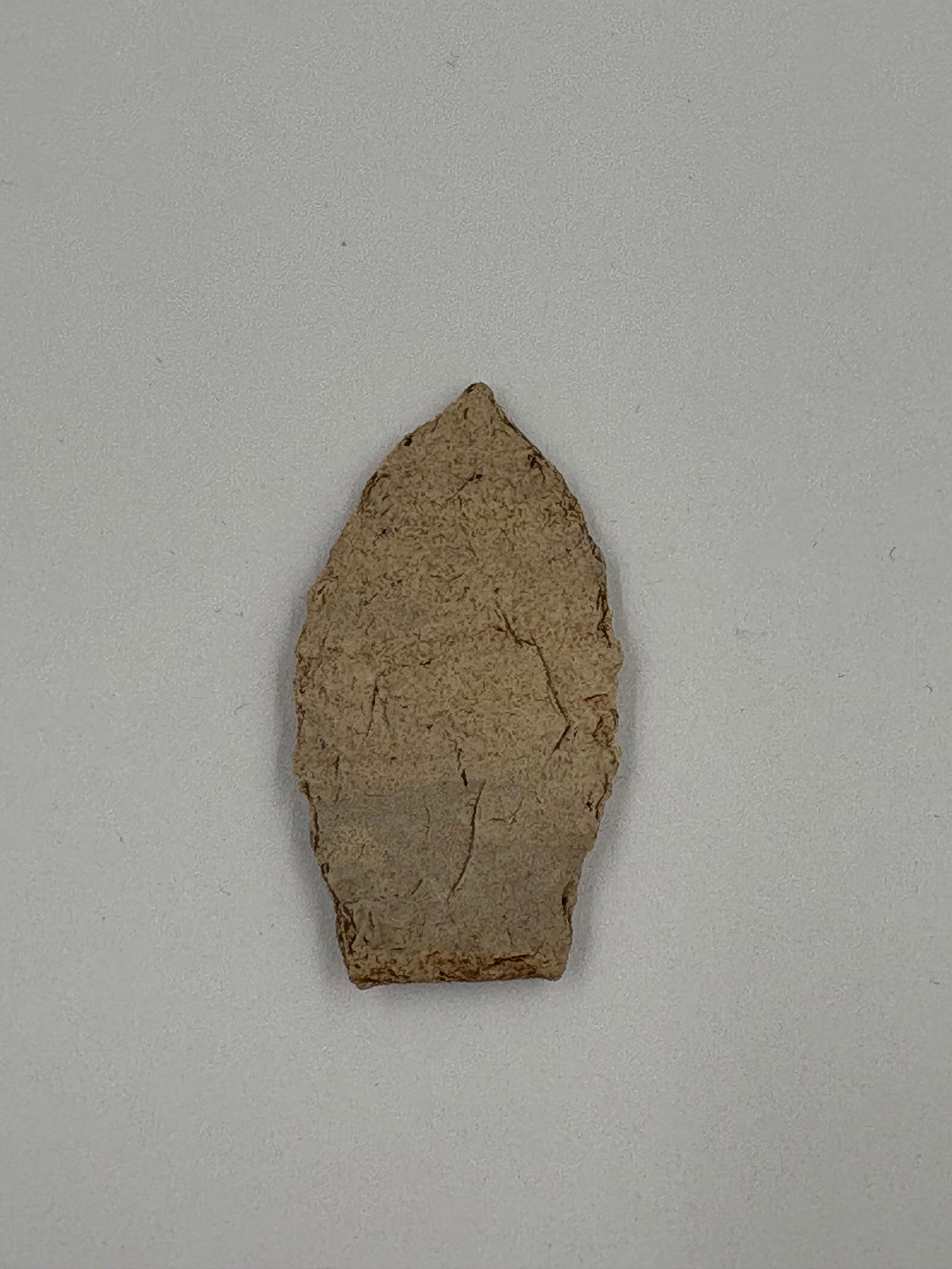 Western Paleo Point - 2