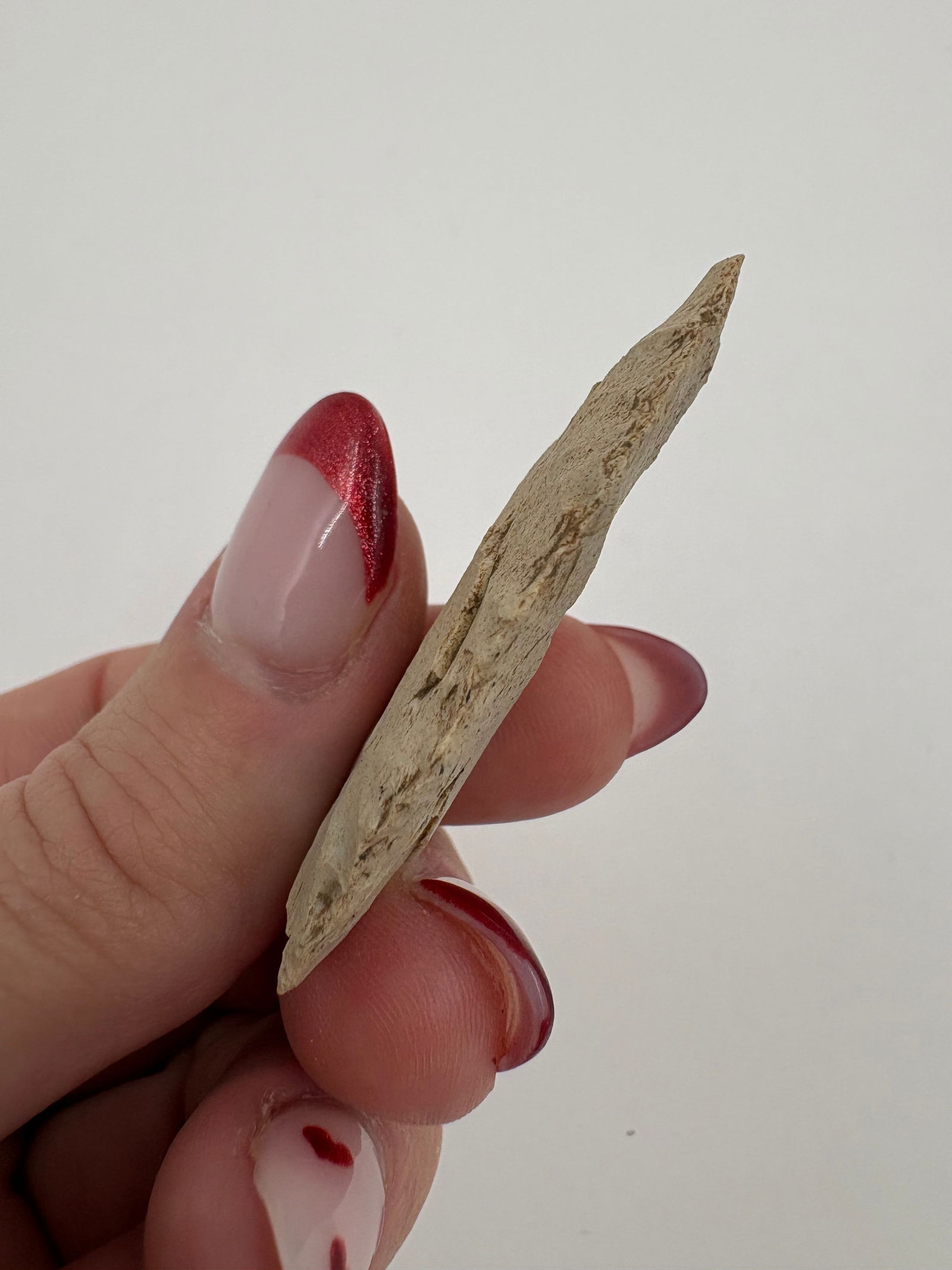 Western Paleo Point - 4