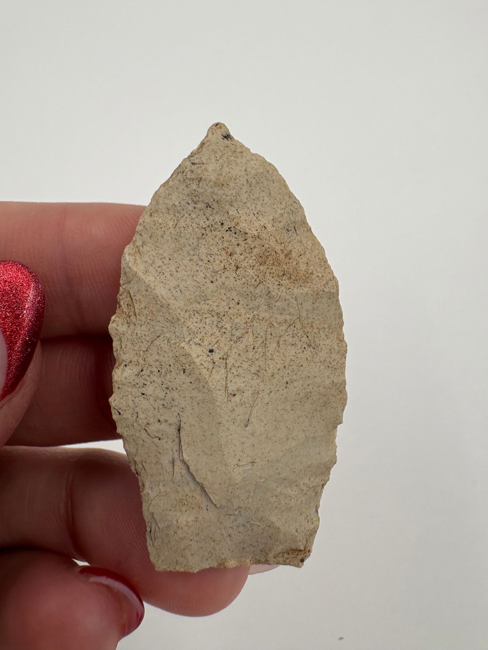 Western Paleo Point - 6