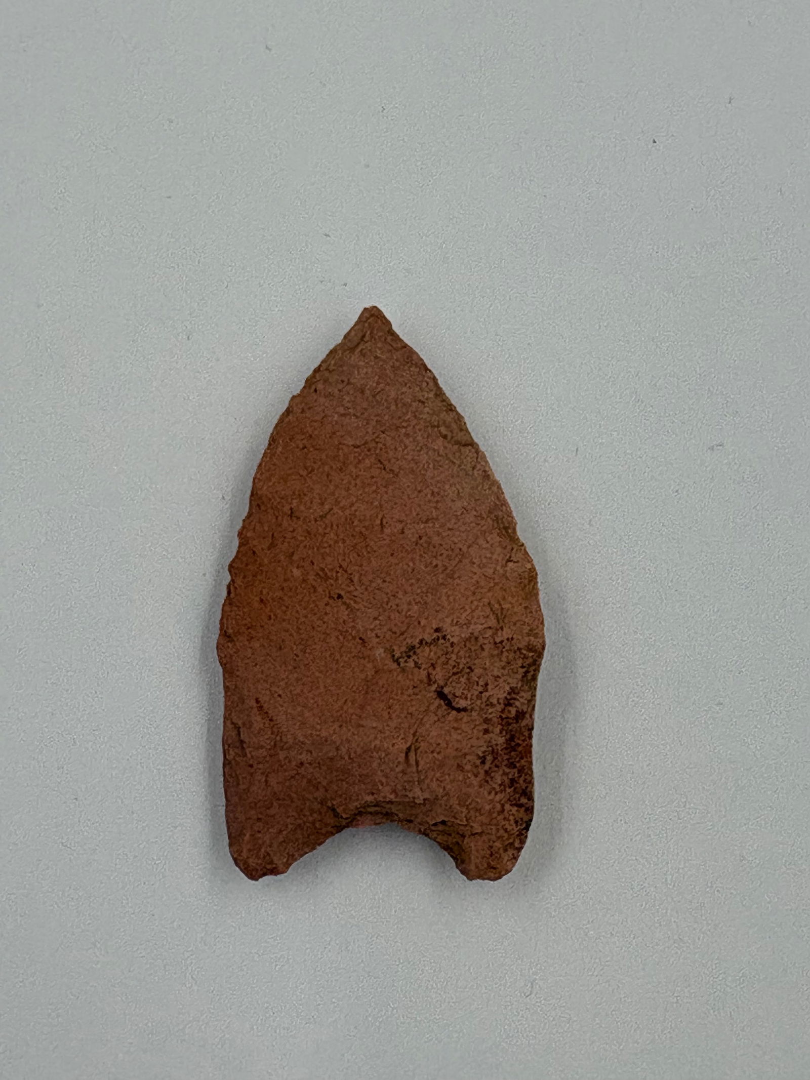 Western Paleo Point - 2