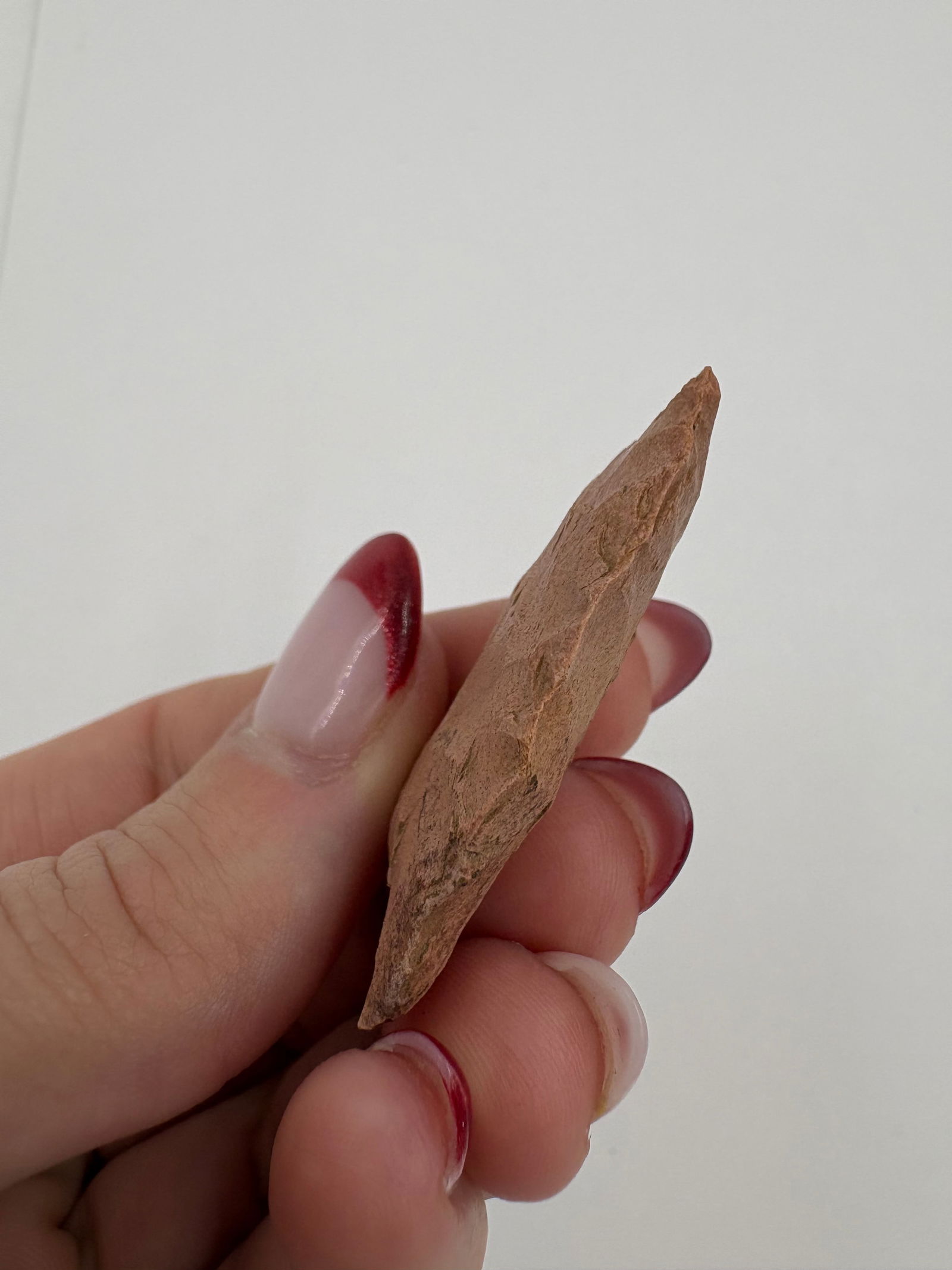 Western Paleo Point - 4