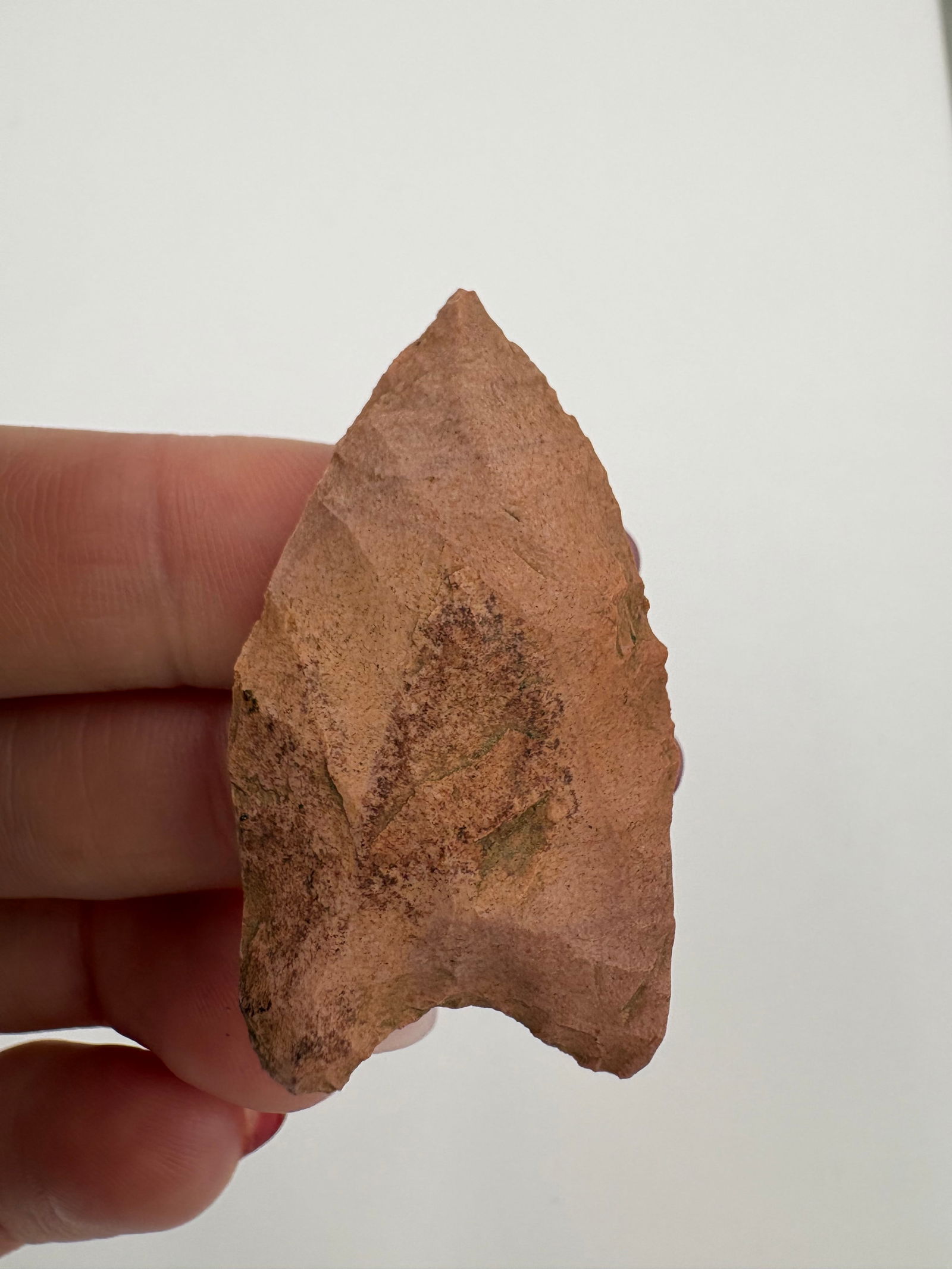 Western Paleo Point - 6