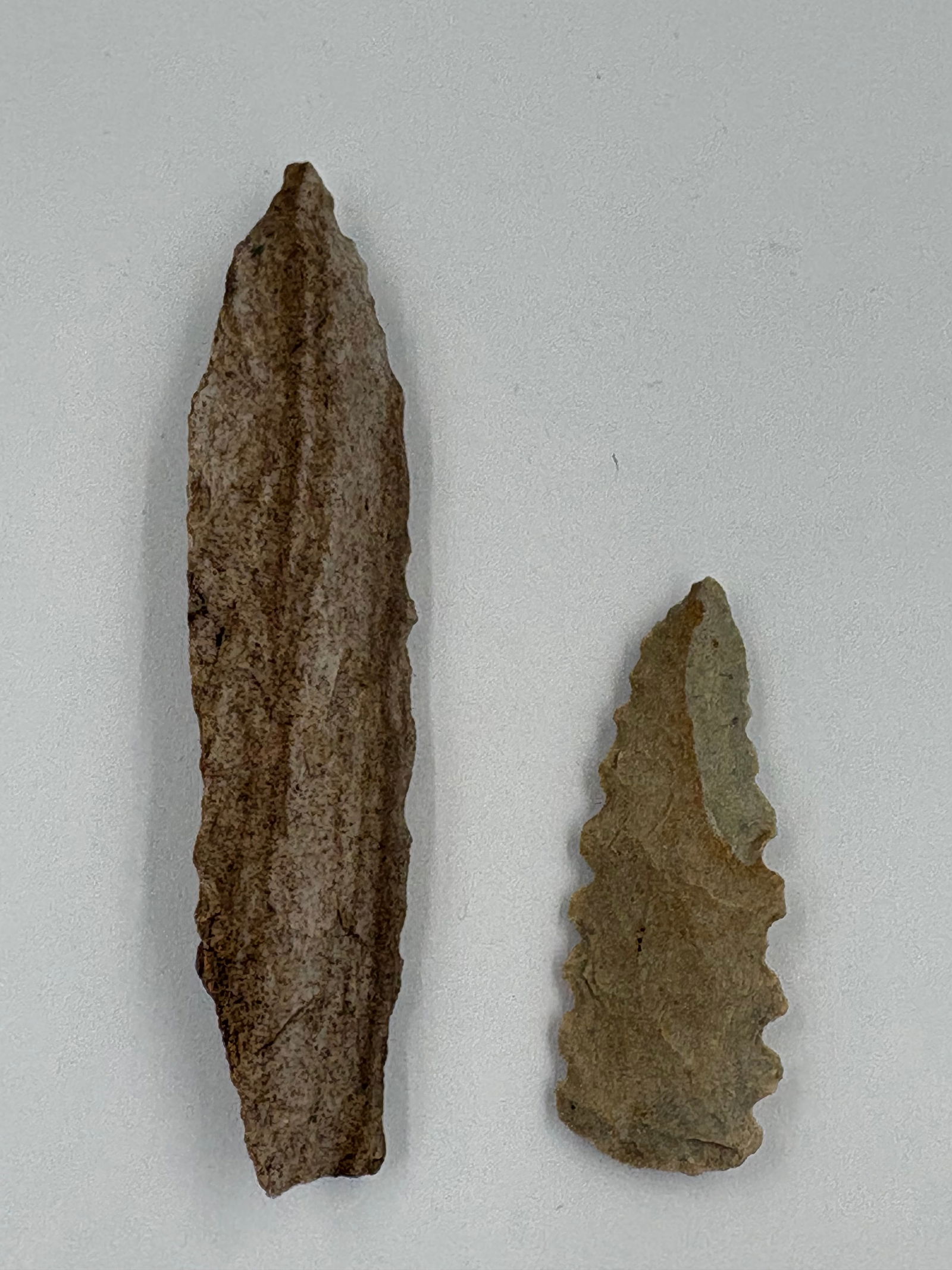 Western Paleo Point - 2