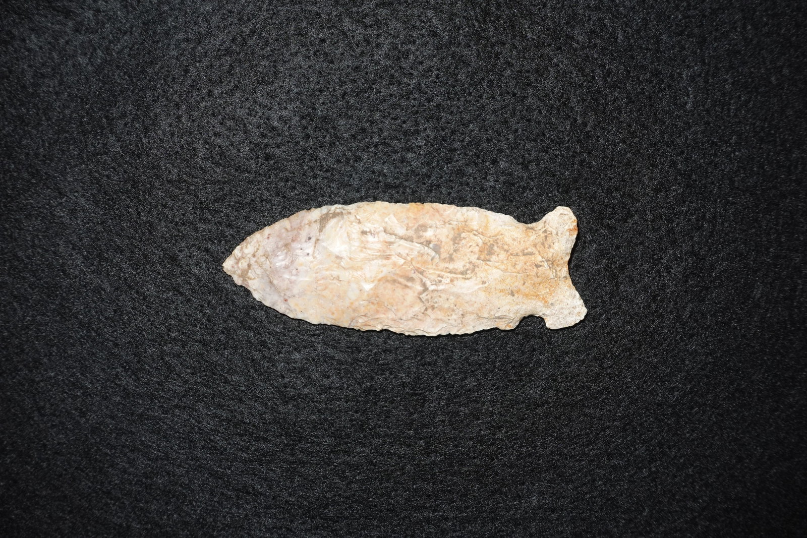 Osceola - 2