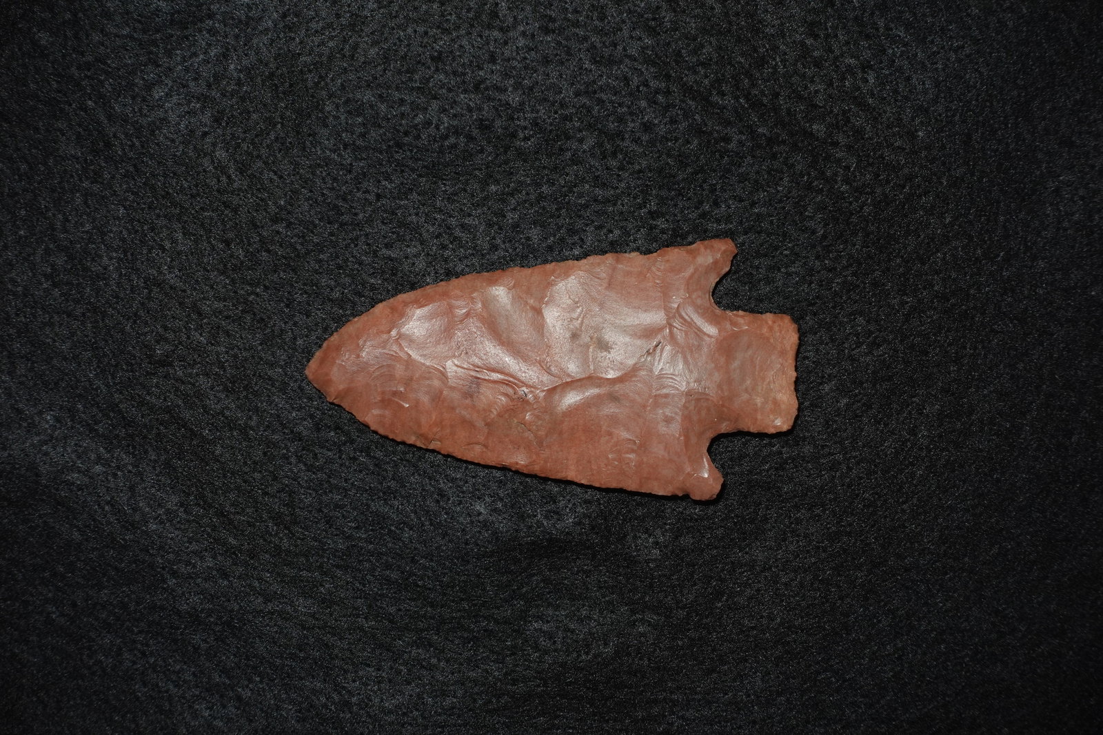 Pickwick- Stermer COA, Carter Cave - 5