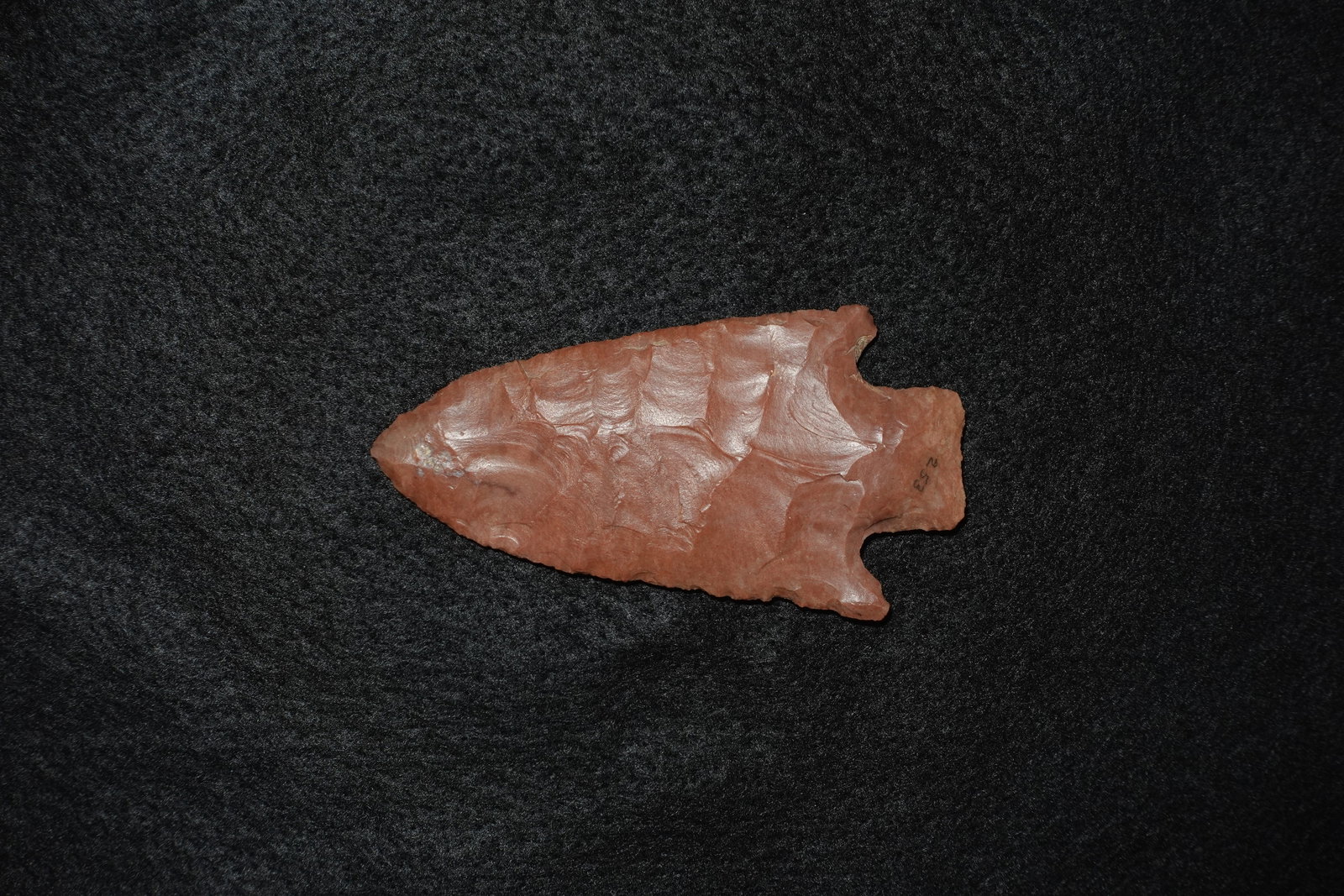 Pickwick- Stermer COA, Carter Cave - 6