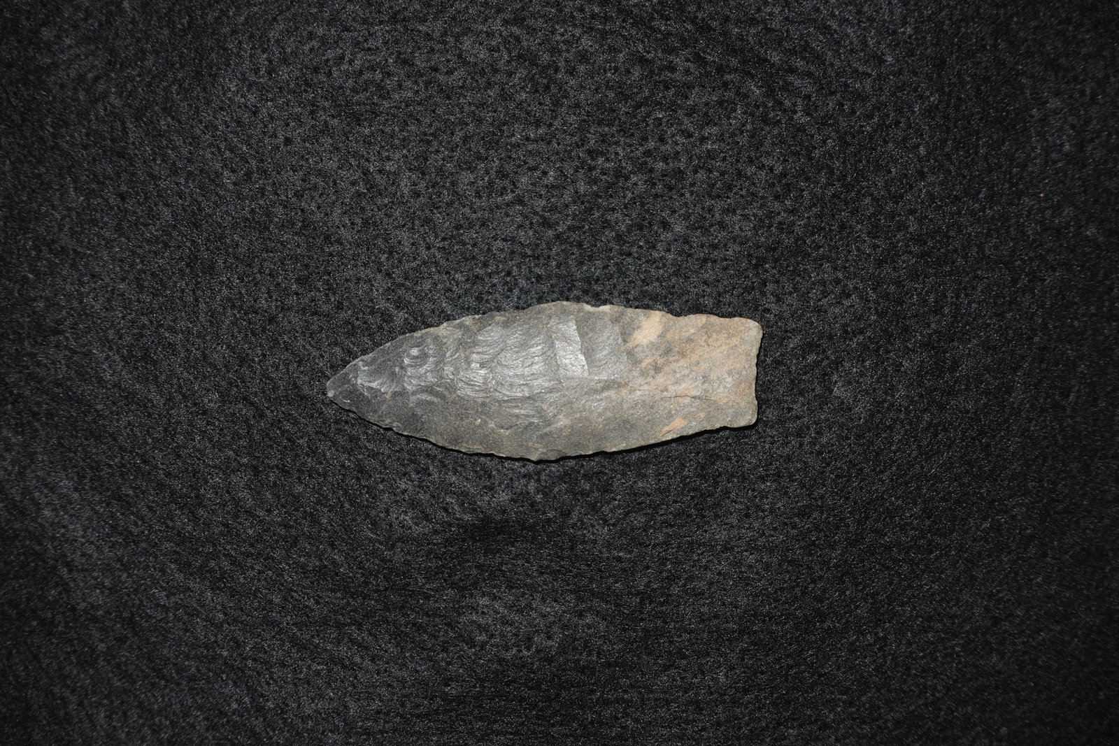 Agate Basin: Elongated, leaf-shaped bifacial stone projectile point with pronounced percussion and pressure flake scars on both faces. Fine-grained gray stone with tan-brown patches and narrow retouched edges