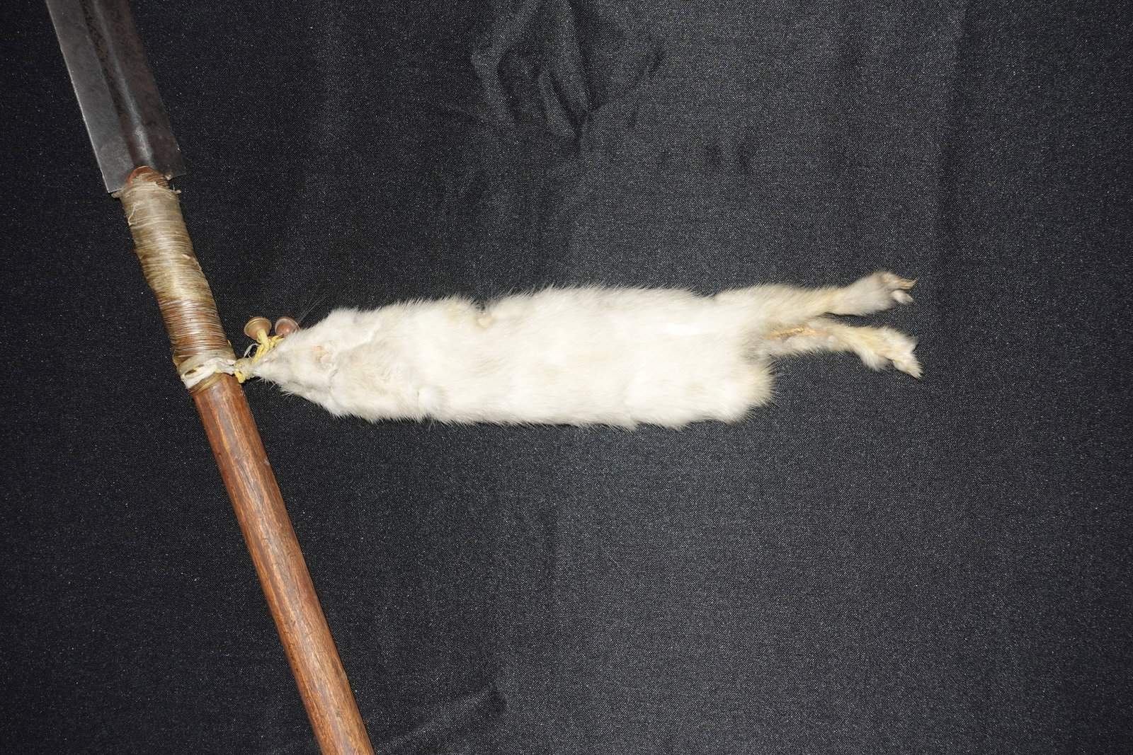 Plains Indian Lance - 2