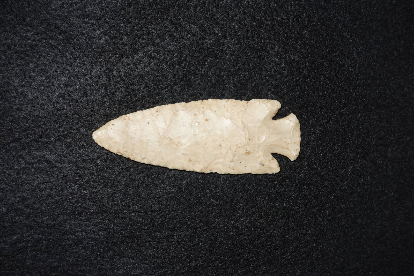 Ocala: Light cream-colored bifacially flaked stone projectile point with a pronounced stemmed base and deep lateral notches. Blade narrows to a sharp tip with visible flake scars and a finely serrated edge. 