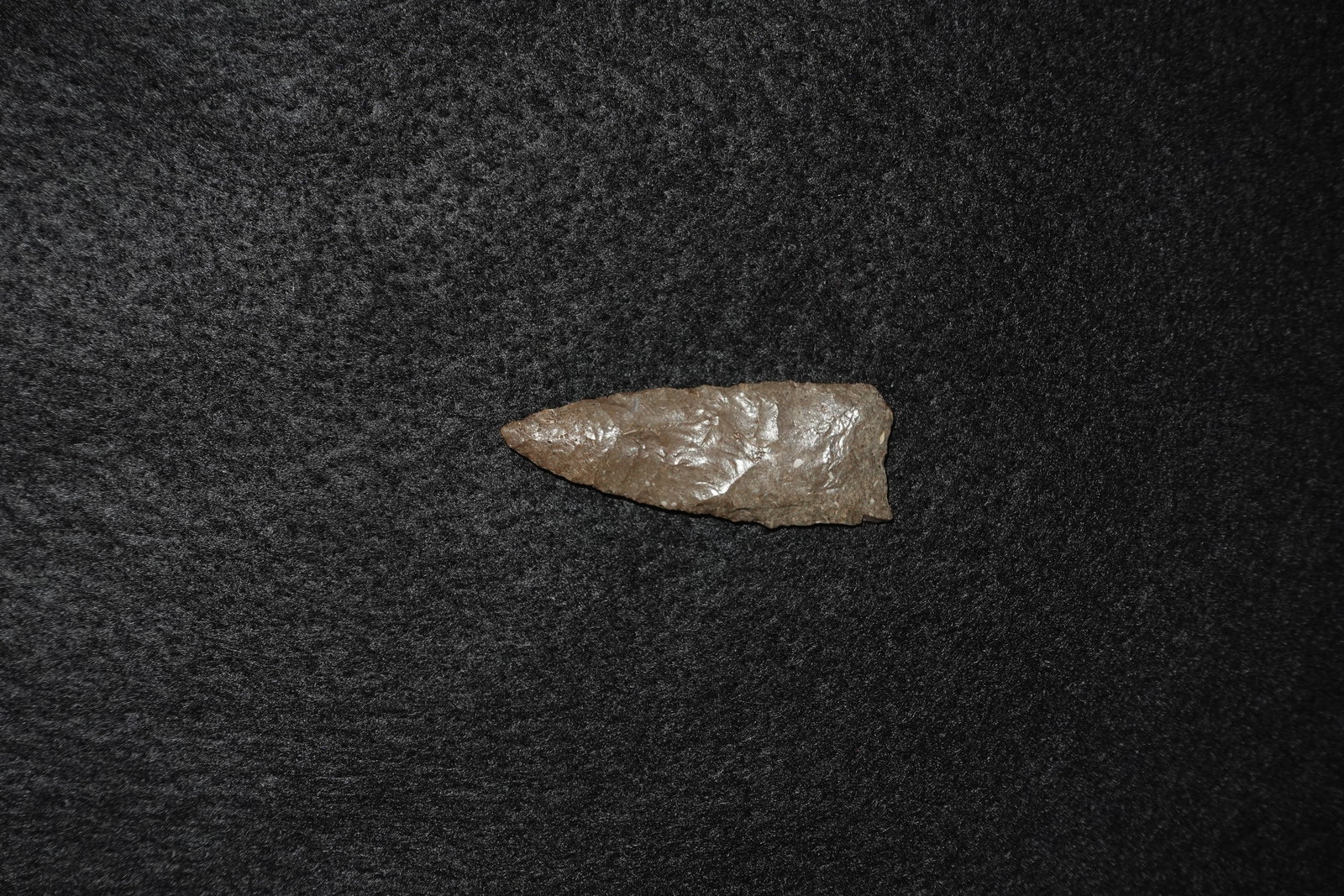 Clovis: Bifacial flaked stone point with a lanceolate profile and a sharply tapered tip. Brown-gray siliceous surface exhibits pronounced flake scars and a subtle sheen across both faces. Thinly retouched