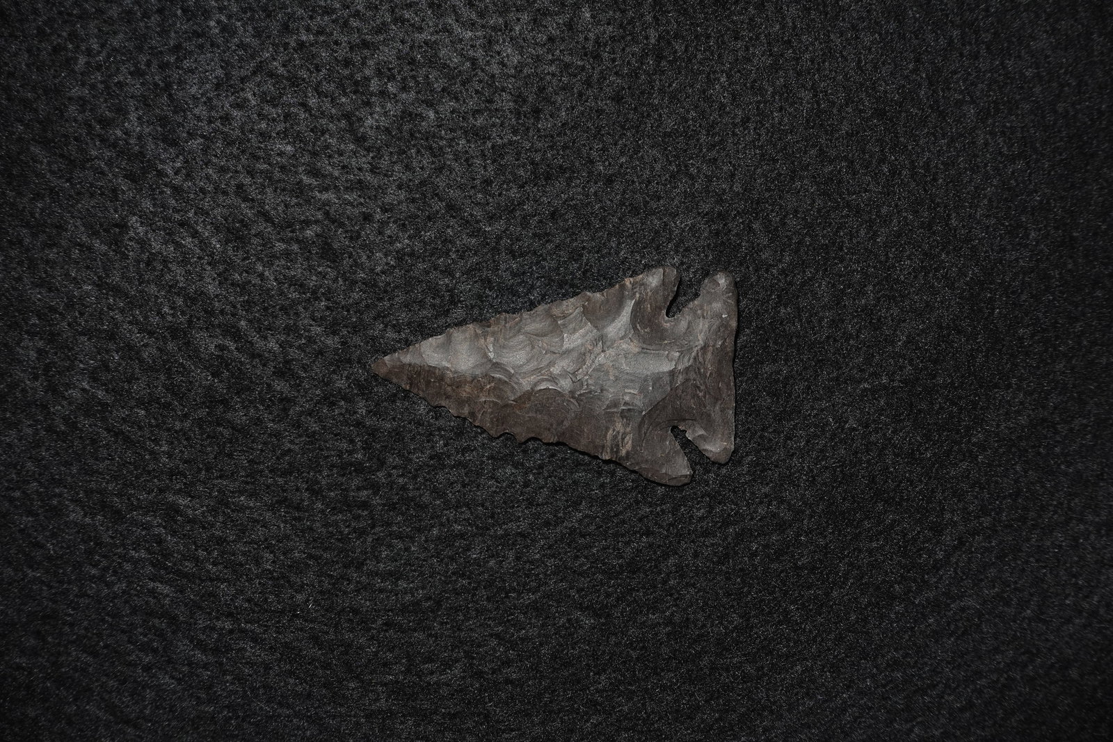 Pinetree: Dark flaked stone projectile point with a triangular blade and pronounced notched base. Extensive conchoidal flake scars across both faces create a textured surface with serrated lateral edges and a