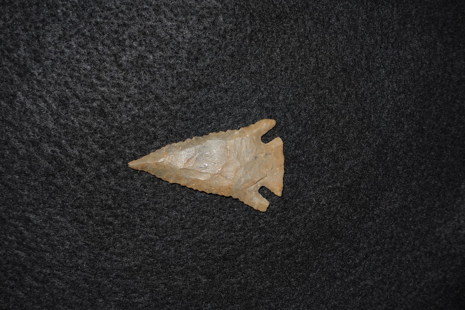 Pinetree: Hand-knapped triangular stone projectile point with a pronounced notched base forming two small ears at the stem. Brown-tan fine-grained stone exhibits bifacial flaking and a serrated blade edge.