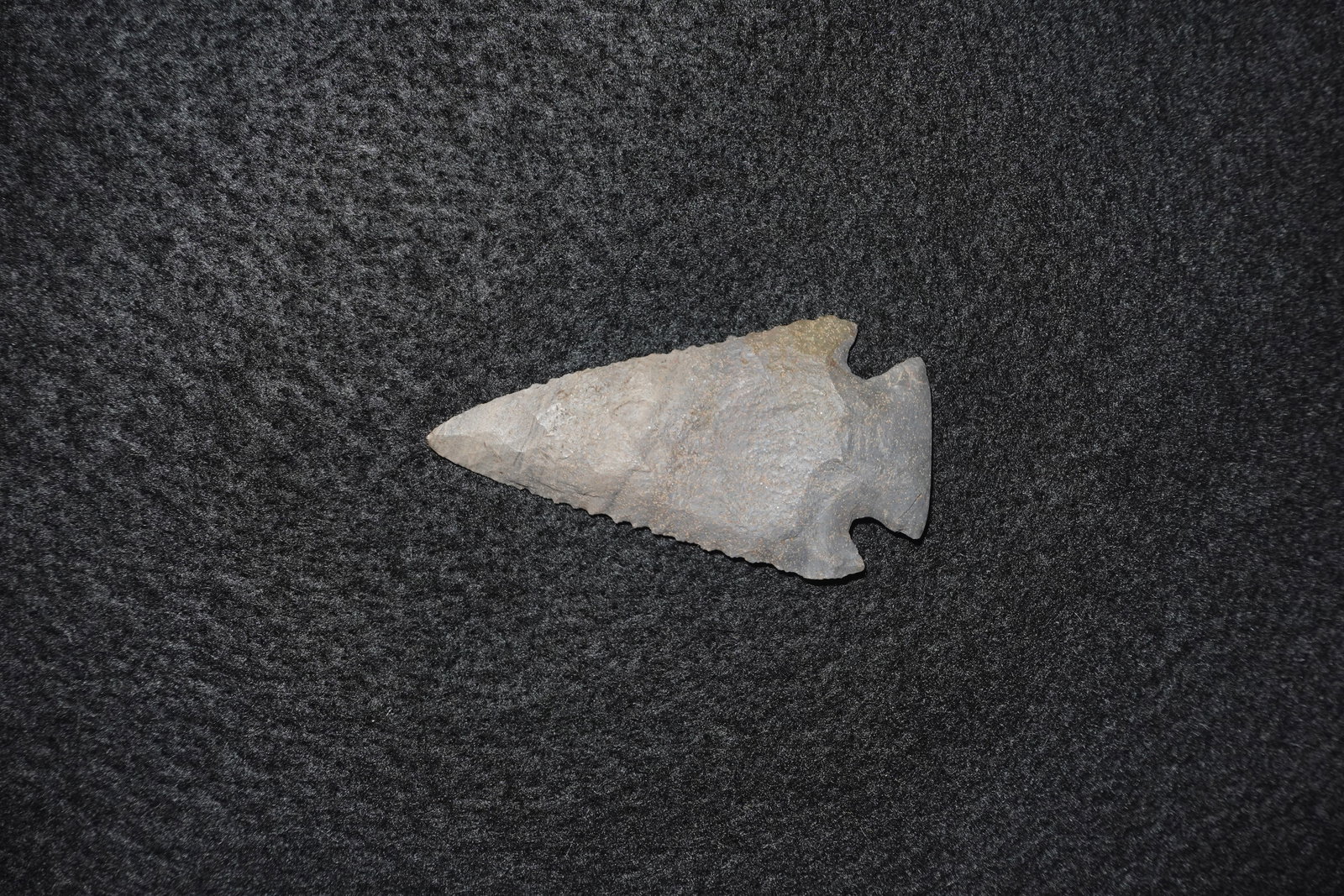 Pinetree: Hand-flaked gray stone projectile point with an elongated triangular blade, serrated margins and a notched stemmed base. Yellowish adhesive or resin remnants appear on one face alongside flake scars