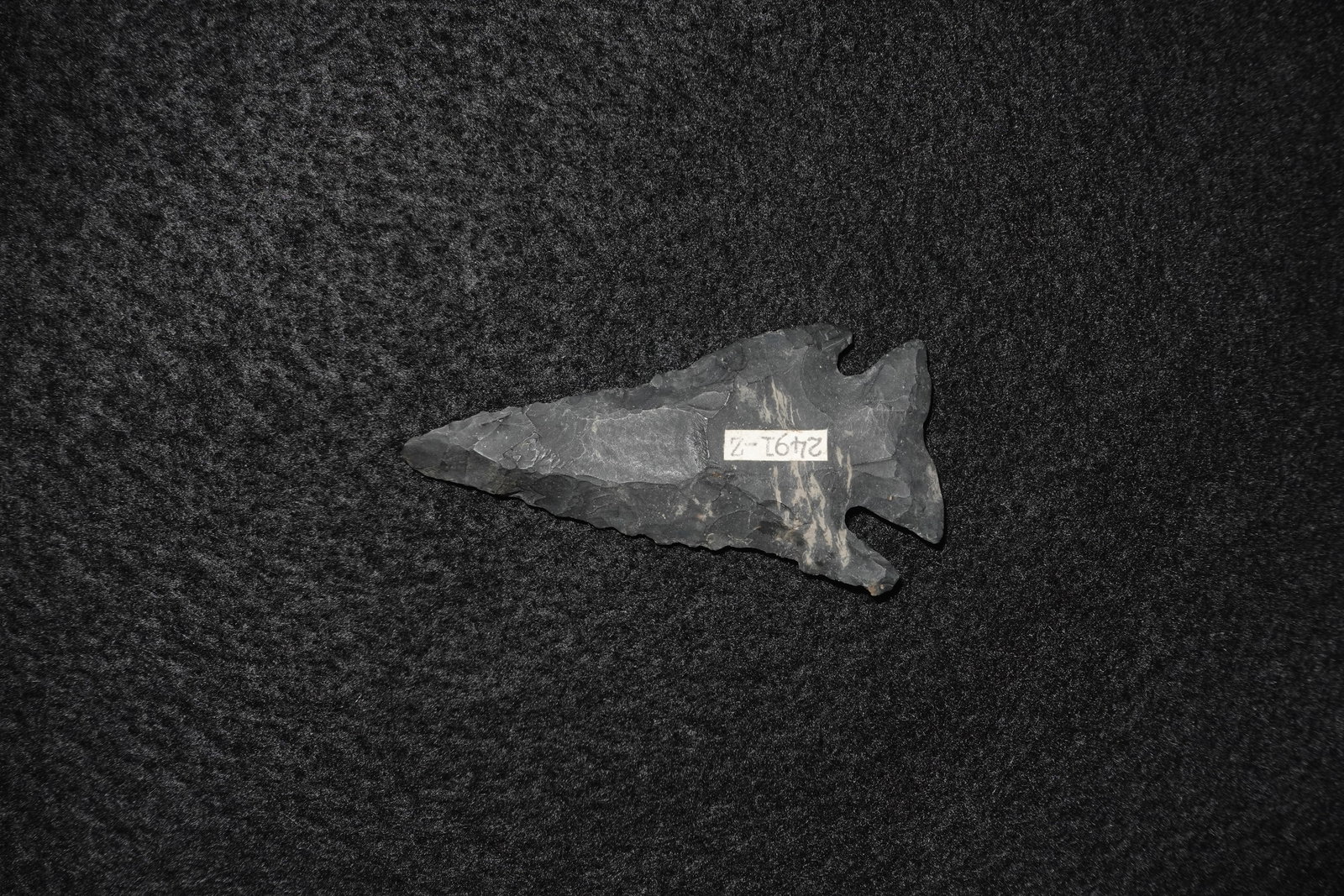 Pinetree: Dark gray to black flaked stone projectile point with a broad triangular blade and a stemmed base featuring pronounced side notches. Bifacial flaking produces stepped flake scars along the blade and