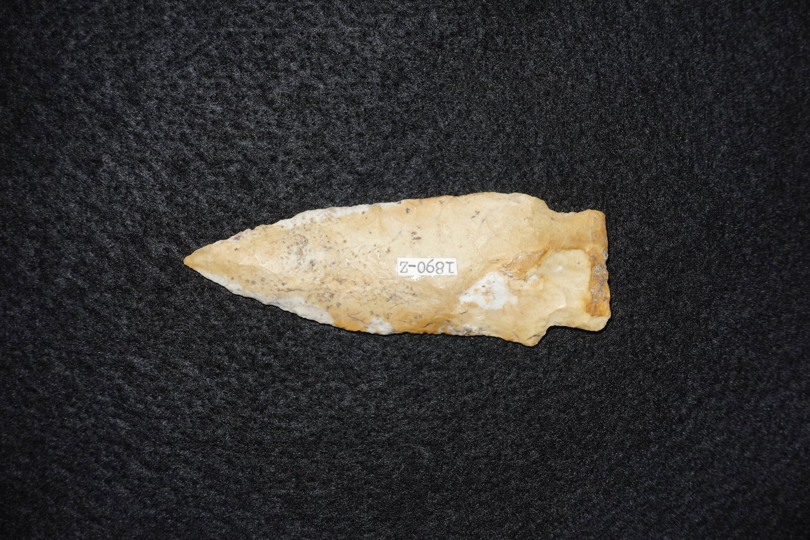 Etley - 2