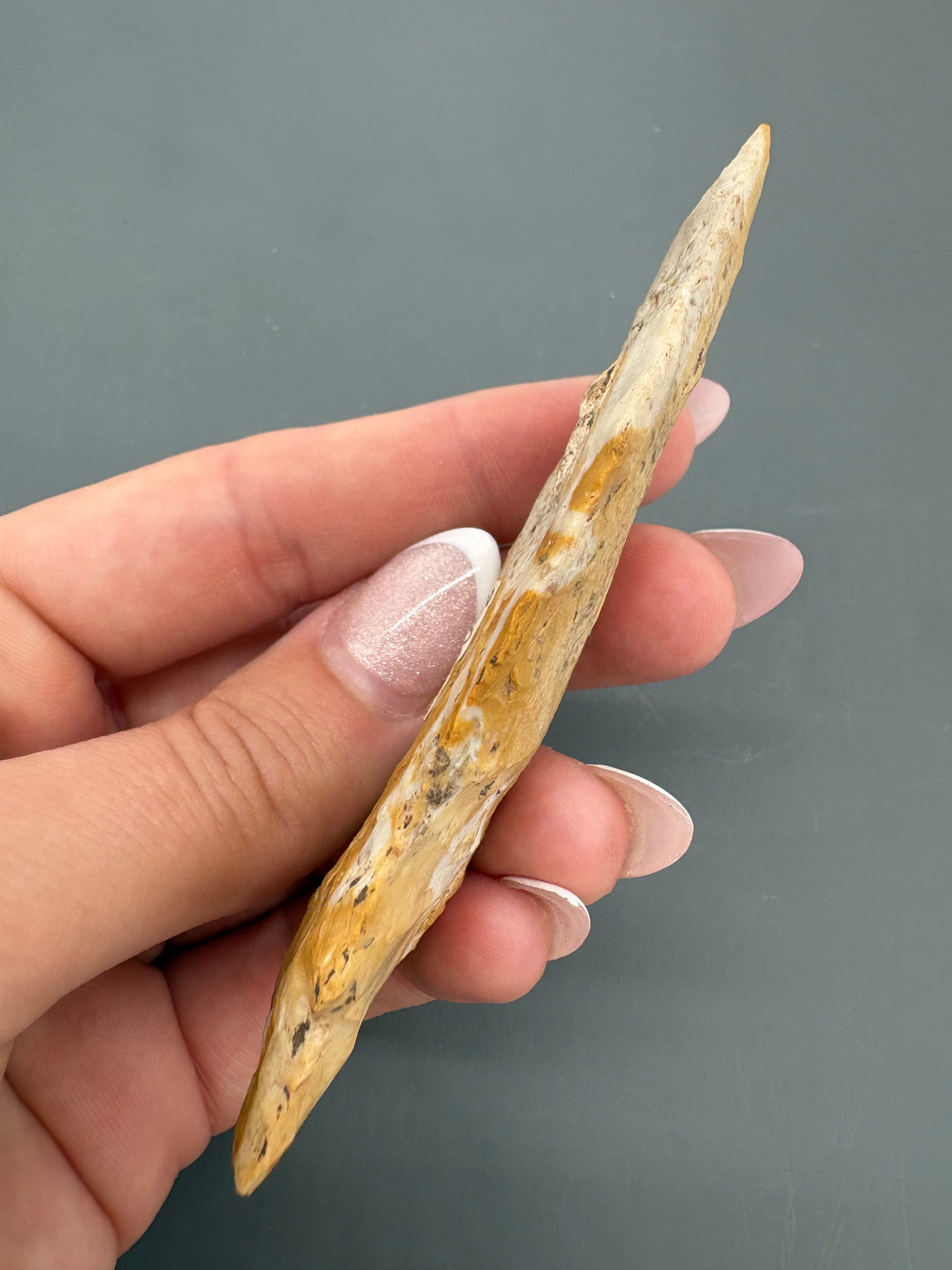 Etley - exotic color - 3