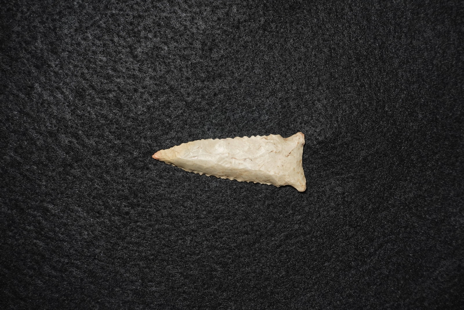 Breckenridge dalton: Light cream-colored bifacial stone projectile point with a long lanceolate blade and finely notched serrations along both margins. Slight basal expansion creates a narrow stem with subtle ear-like