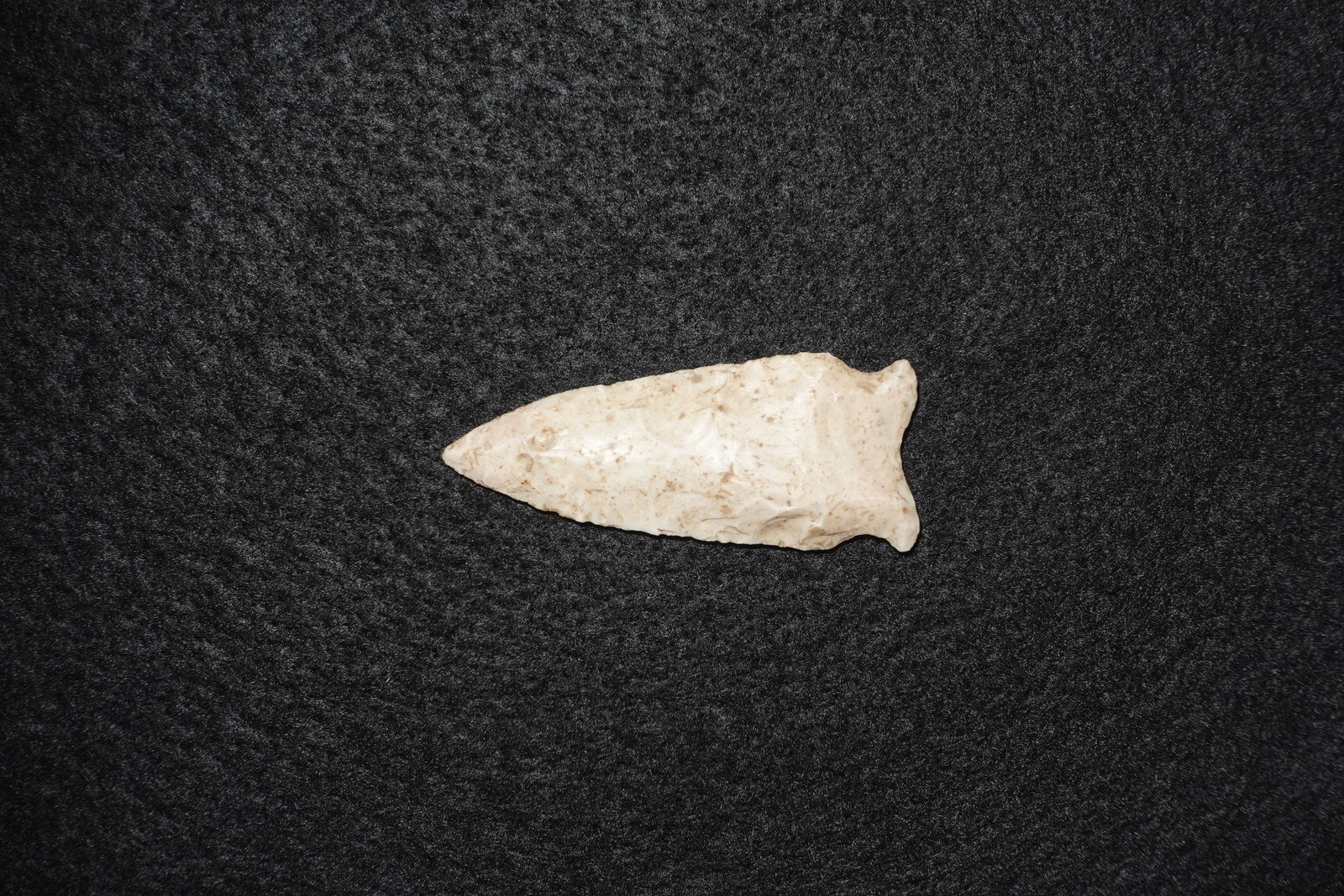Breckenridge Dalton: Pale cream to off-white flaked chert projectile point with a slender lanceolate blade and a subtle stemmed base. Pronounced flake scars and marginal retouch are present on both faces, with light brown