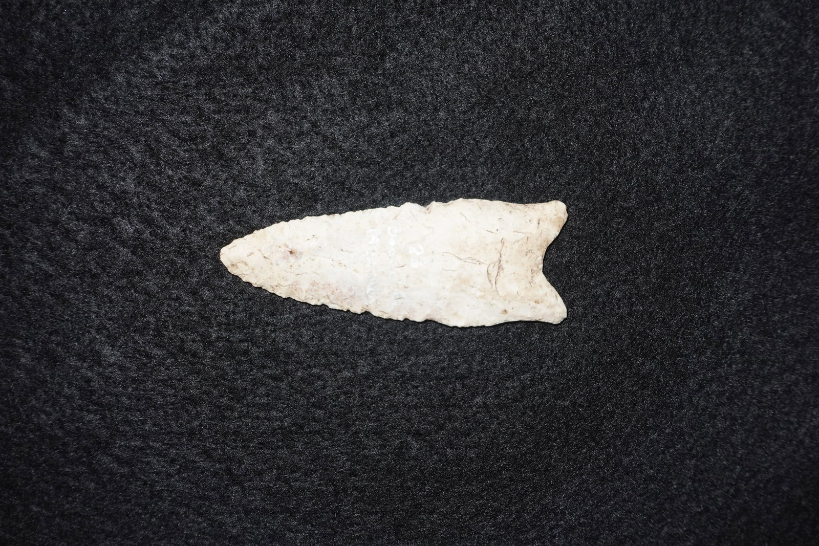 Dalton: Cream-to-tan flaked stone projectile point with a narrow lanceolate blade and a distinct fishtail/notched basal stem. Fine flake retouch and serrated edge work run along both margins, with light brown