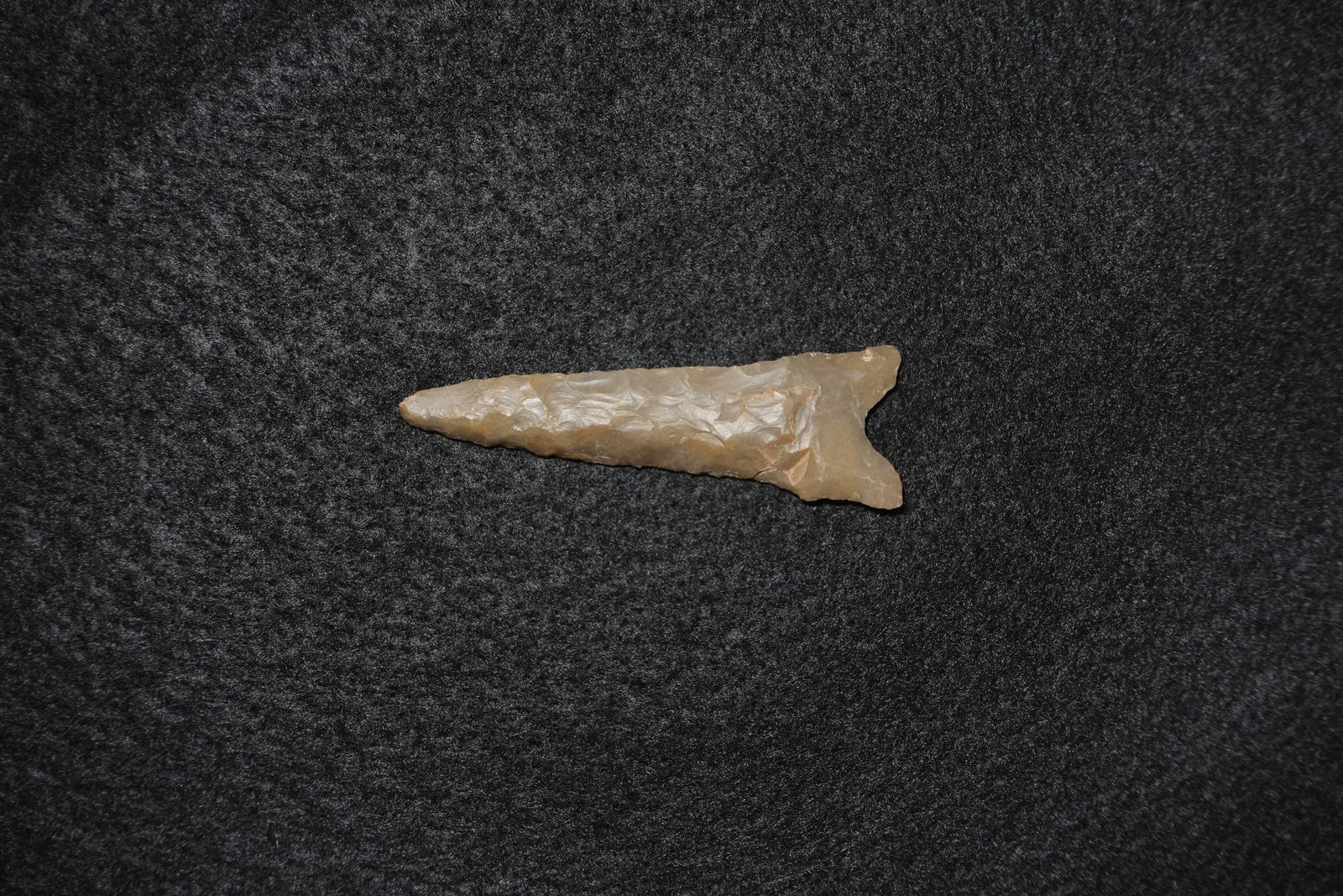 Dalton - 2
