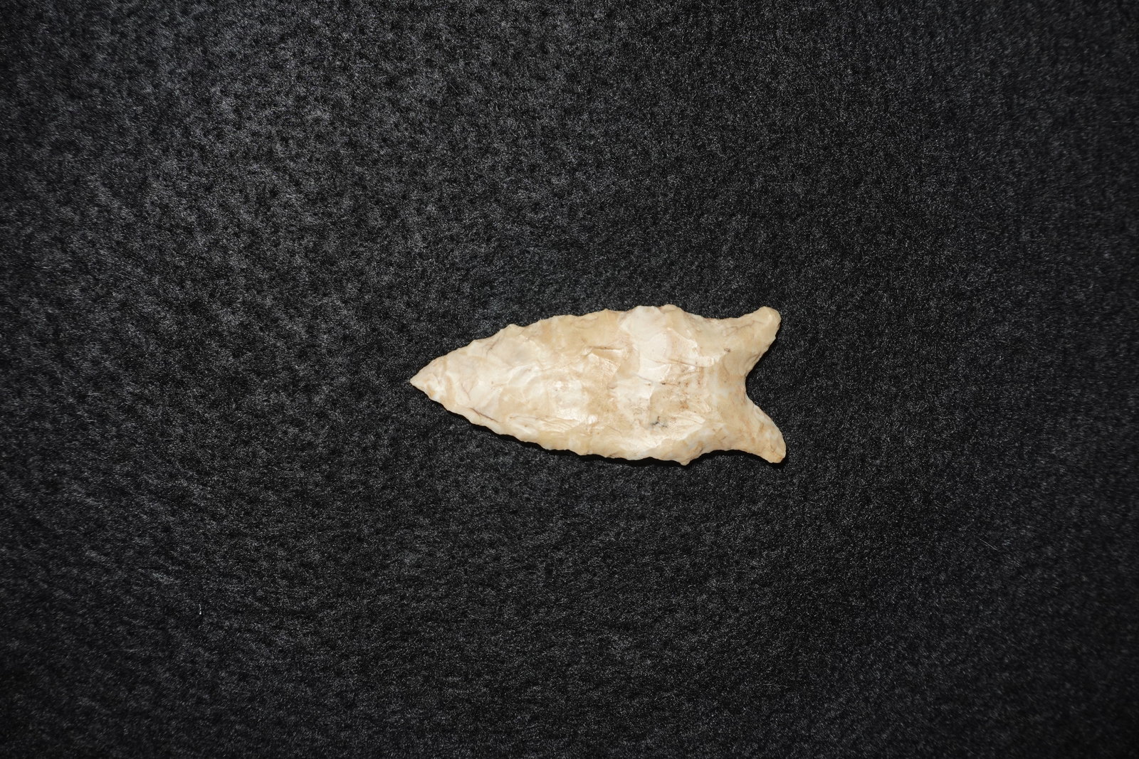 Dalton: Light tan, bifacially flaked stone projectile point with a narrow, tapered blade and stemmed, notched base. Distinct flake scars and pressure-retouch are present across both faces, producing a