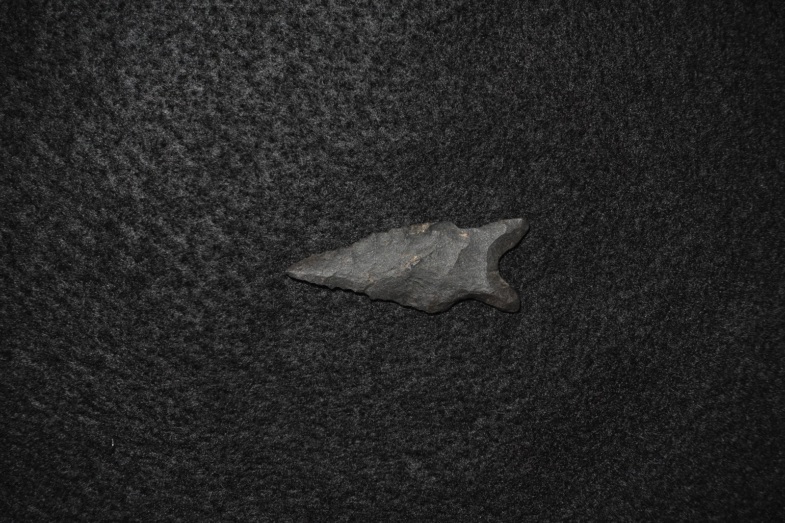 Dalton: Dark gray flaked stone point with a narrow triangular blade and pronounced notched stem. Bifacial flaking along both faces produces serrated edge detail and a coarse matte texture with small