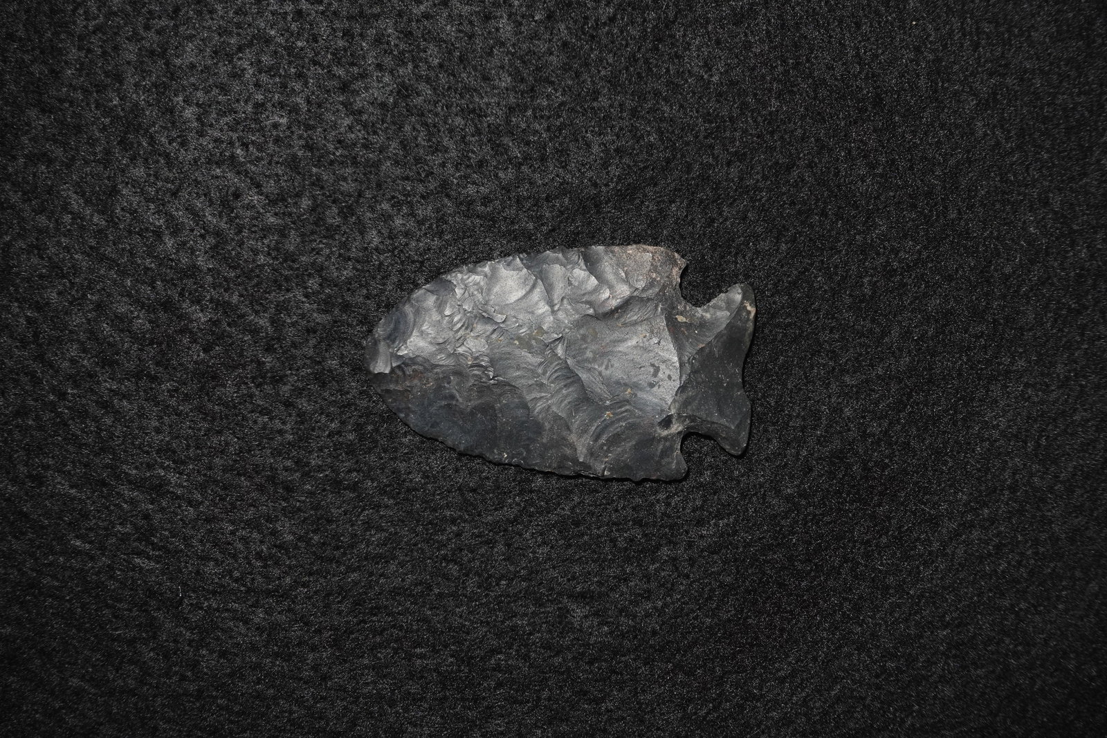 Hardove: Dark gray to black knapped stone projectile point with pronounced bifacial flaking and a deep notched base. Leaf-shaped blade displays overlapping conchoidal flake scars and a slightly recurved edge