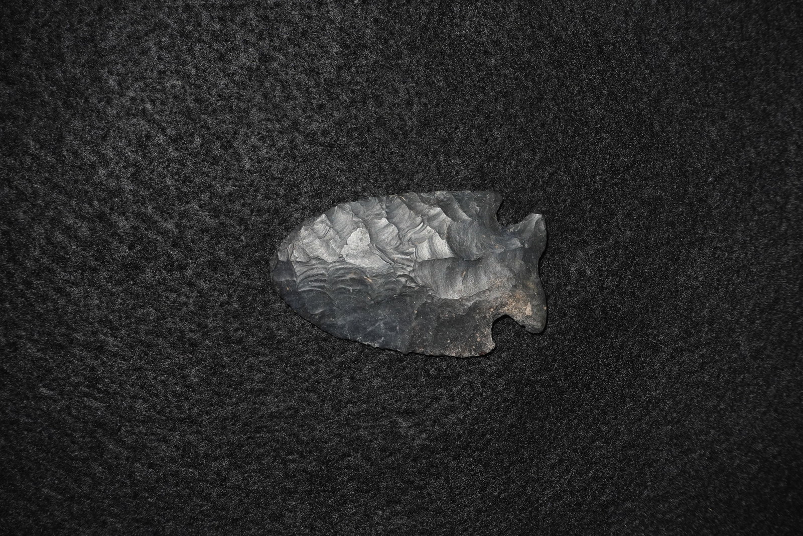 Hardove - 2