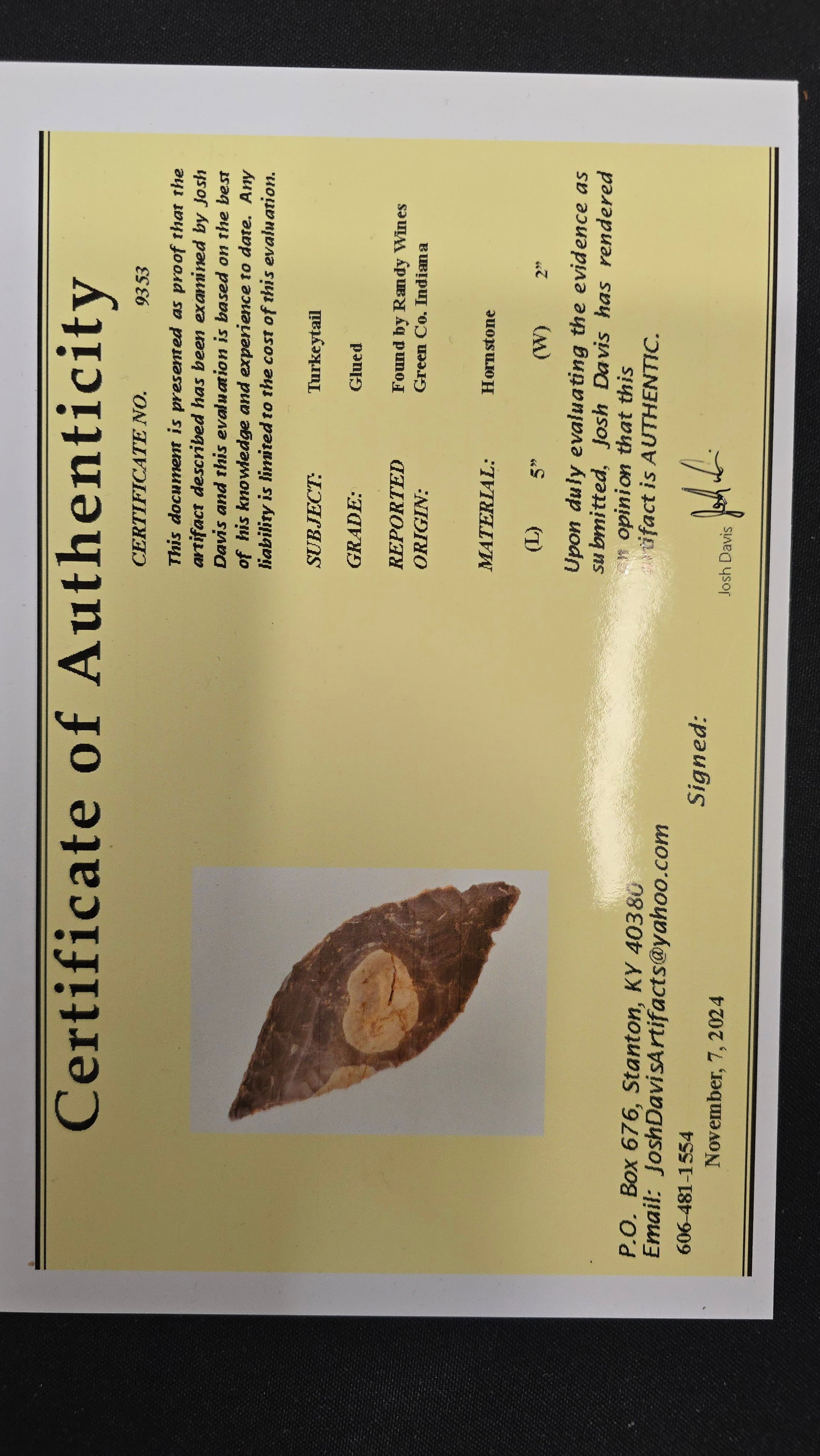 Turkeytail - Davis COA - 3