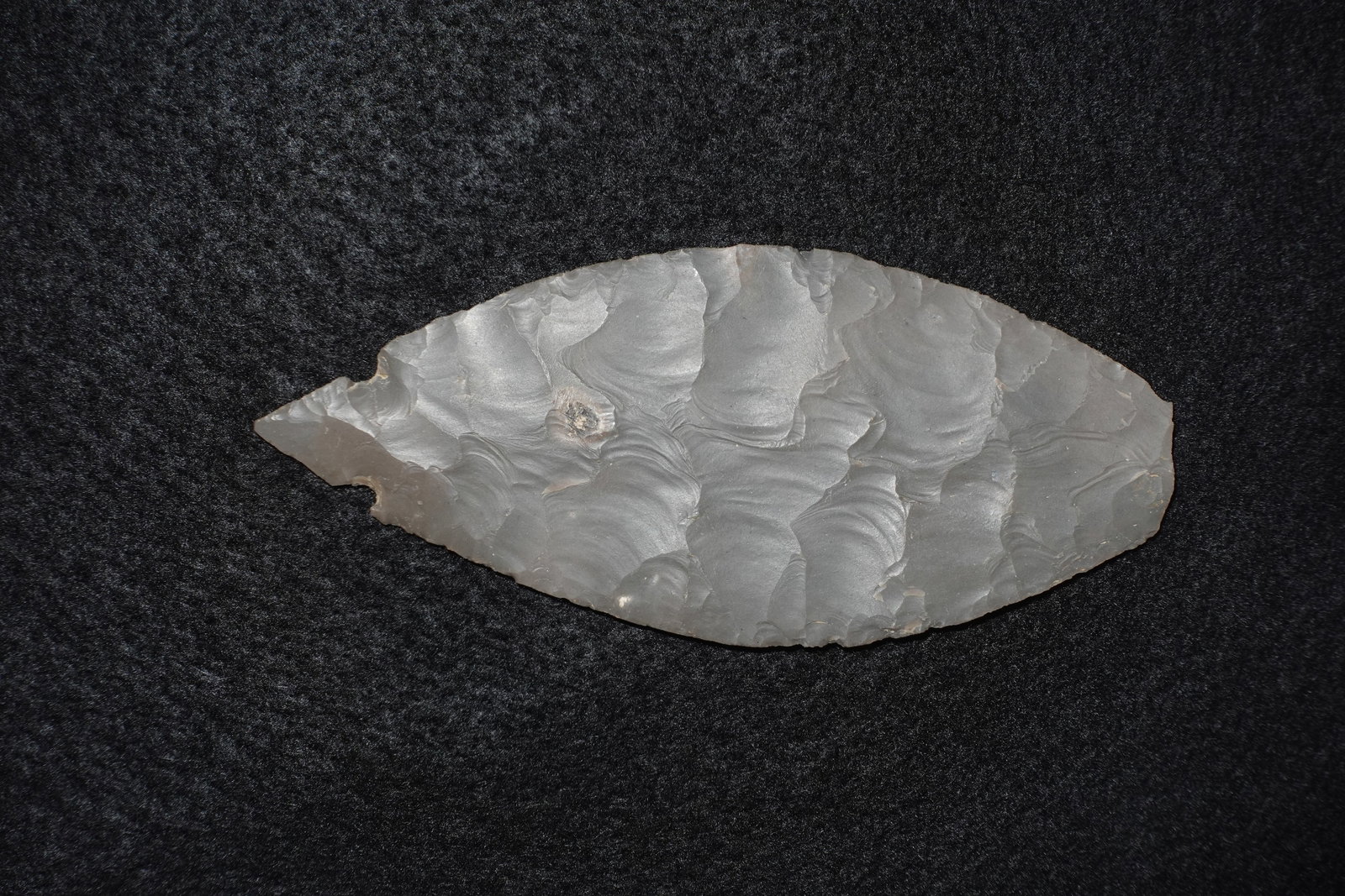 Turkeytail: Bifacially worked gray chert leaf-shaped blade with pronounced overlapping percussion flake scars creating a rippled texture across both faces. One end features a small lateral notch and the edges
