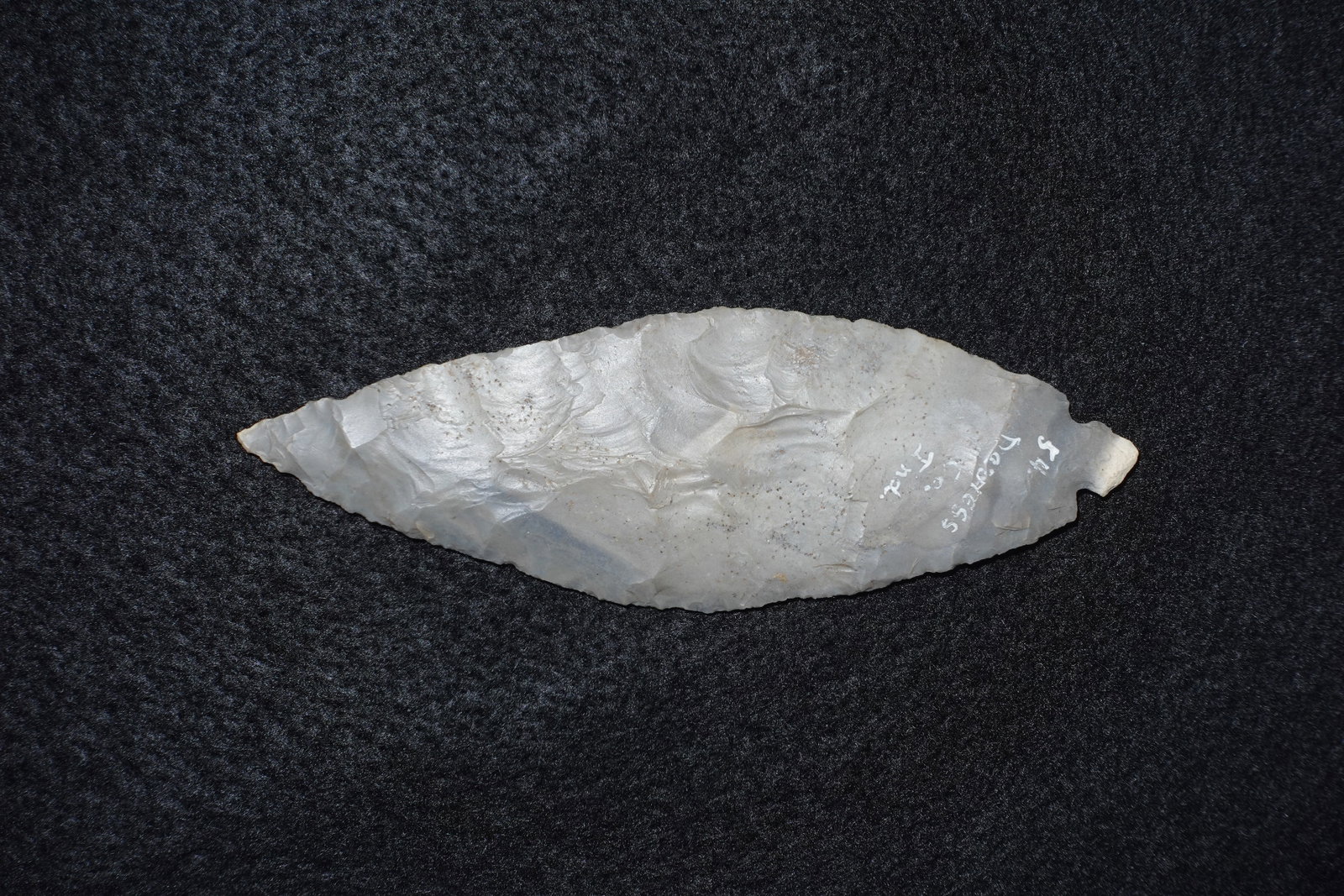 Turkeytail: Elongated leaf-shaped bifacial flaked point in translucent gray to off-white stone with areas of buff staining. Fine pressure-flake retouch along the edges produces a serrated profile with subtle basa