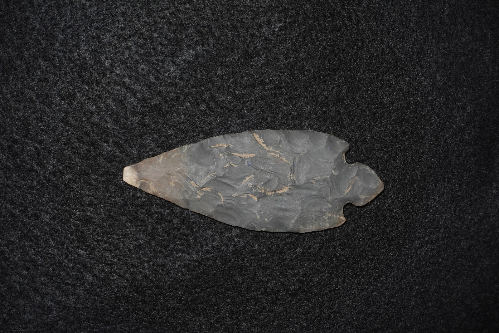 Turkeytail: Elongated leaf-shaped biface crafted from dark gray chert with tan cortex patches. Bifacial flaking produces overlapping flake scars, finely retouched edges, and a pair of basal notches. Tip and blade