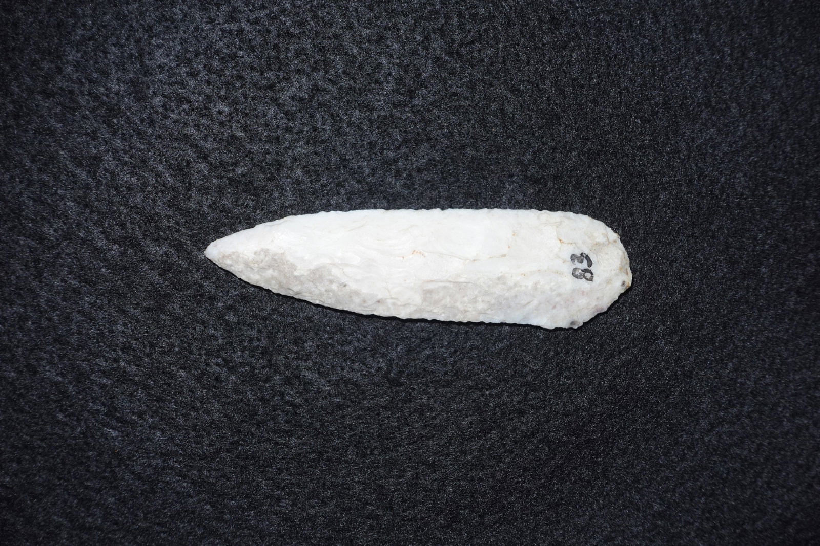 Paleo Blade - 2