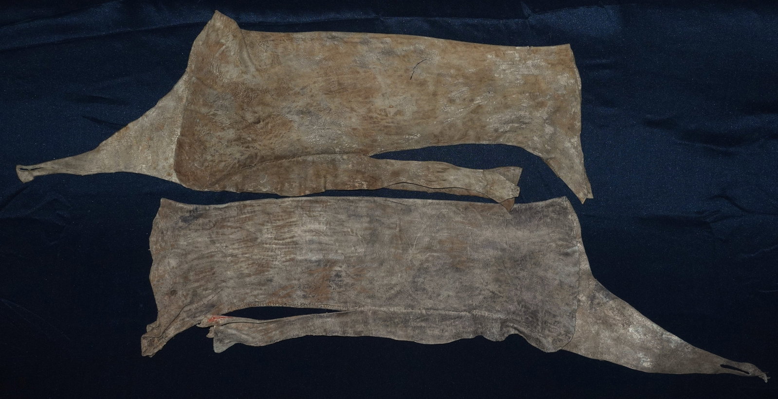 Early Crow Leggings - 4